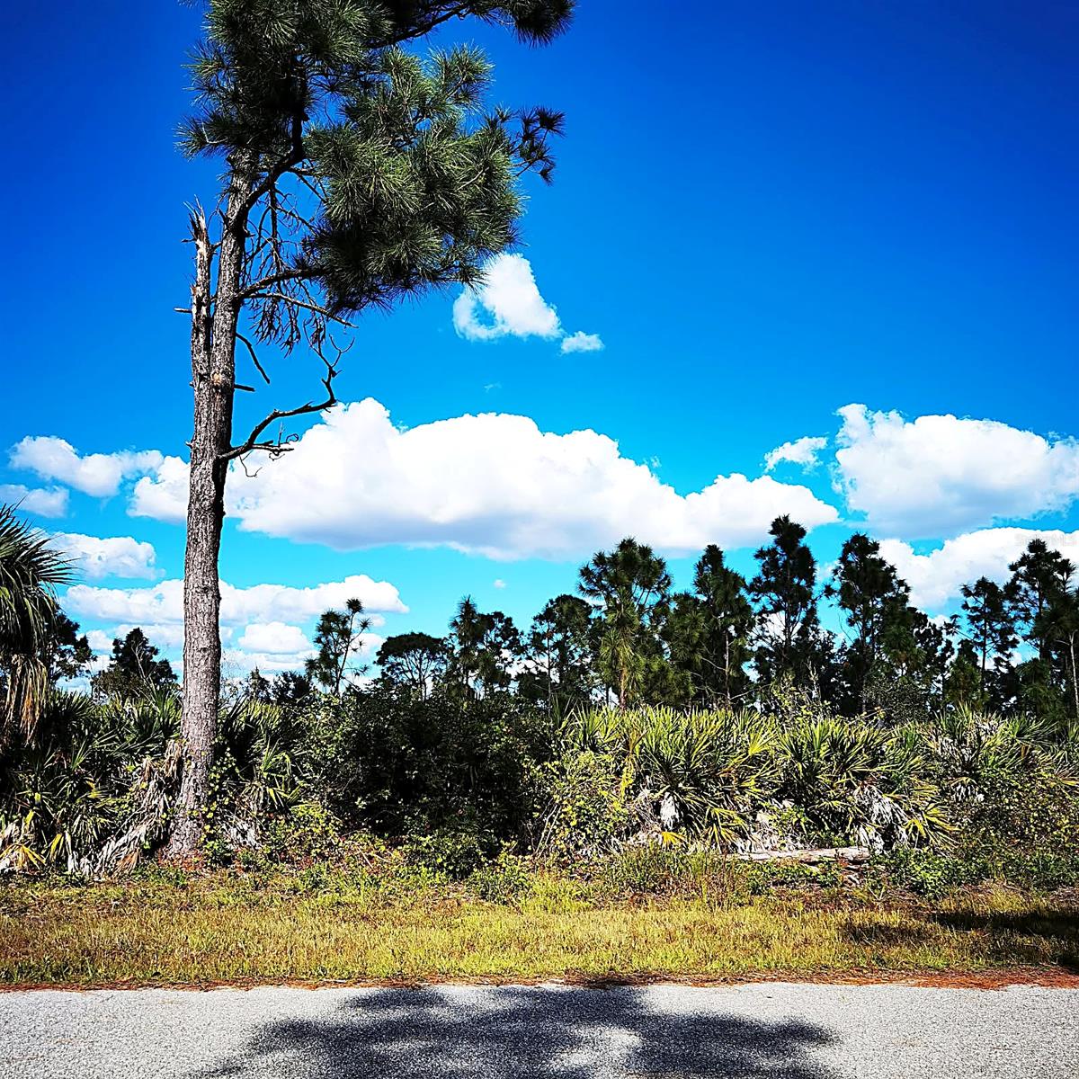 Land at 12140 KARNEY AVE, PORT CHARLOTTE, photo 6 of 9