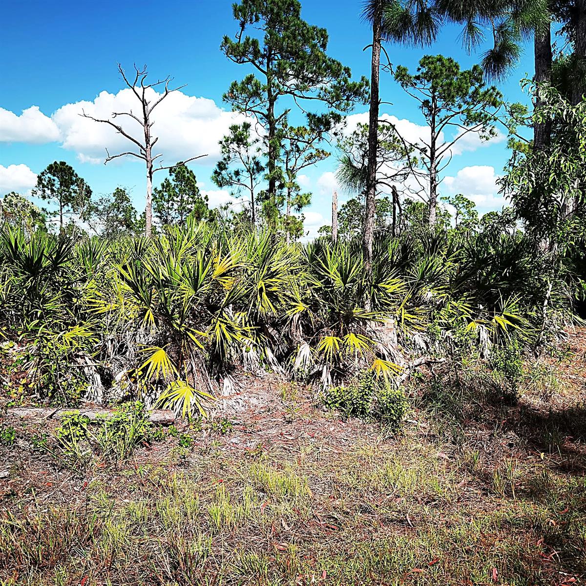 Land at 12140 KARNEY AVE, PORT CHARLOTTE, photo 7 of 9