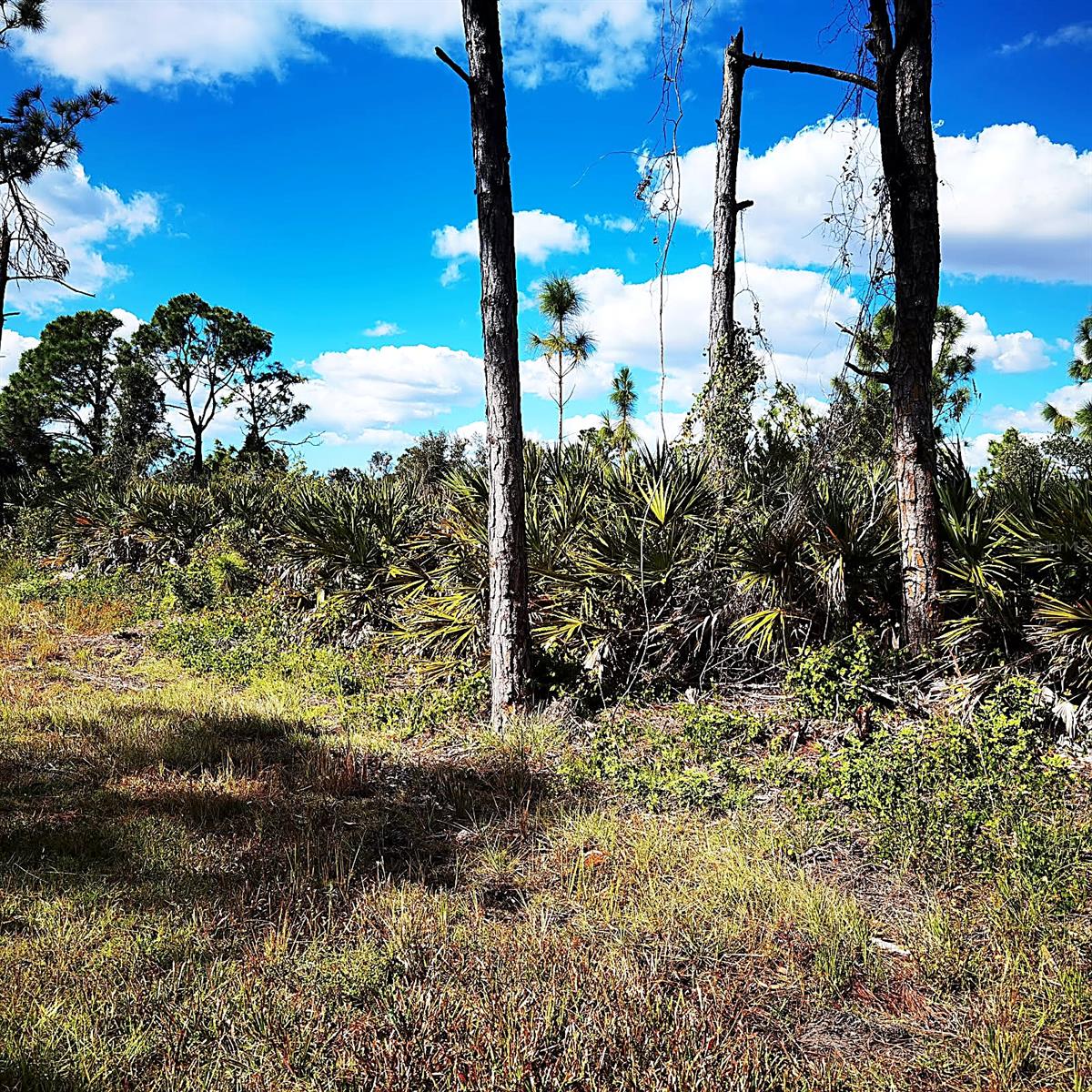 Land at 12140 KARNEY AVE, PORT CHARLOTTE, photo 8 of 9