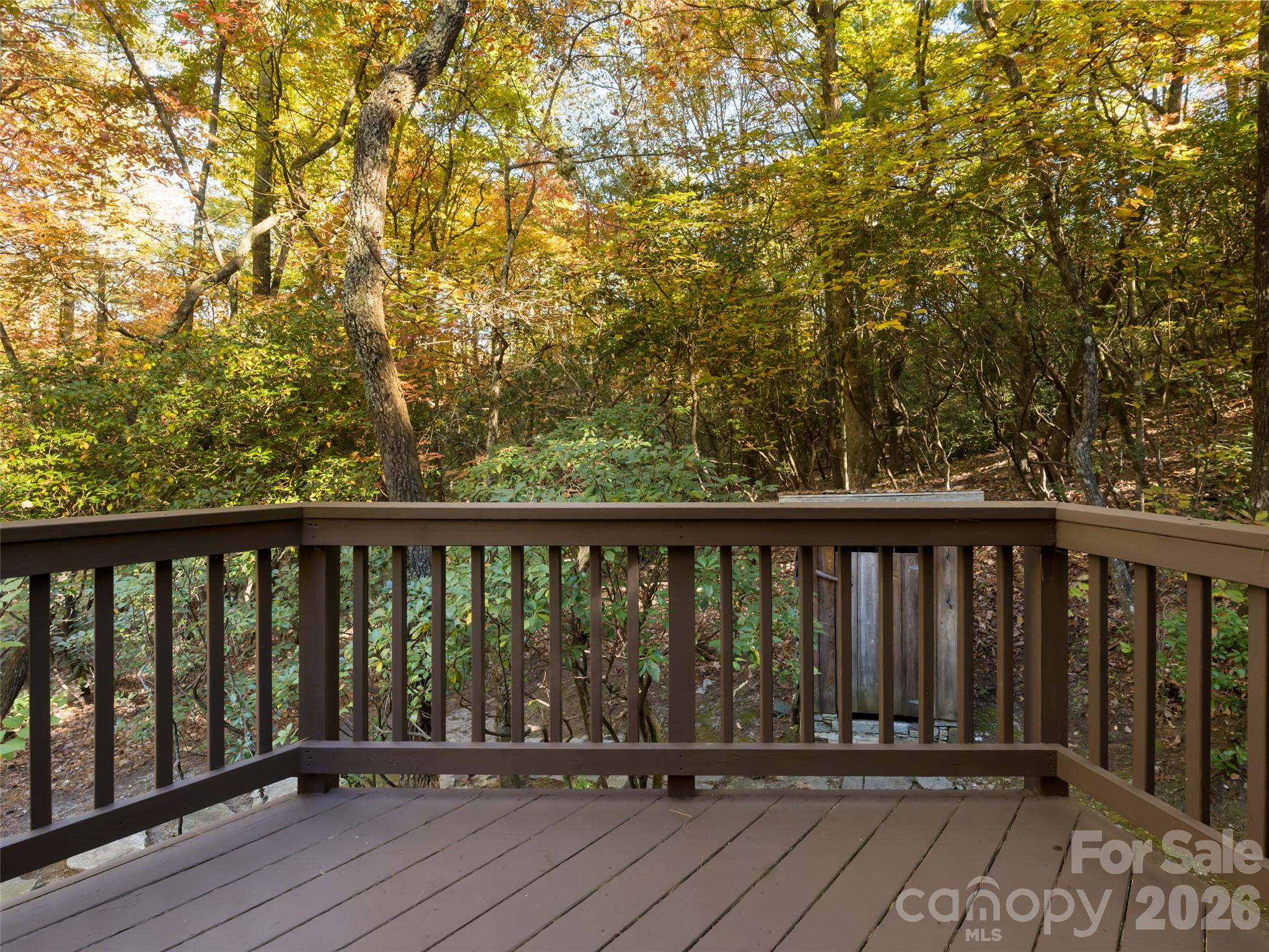 Single Family Residence at 944 Cold Mountain Road, Lake Toxaway, photo 23 of 43