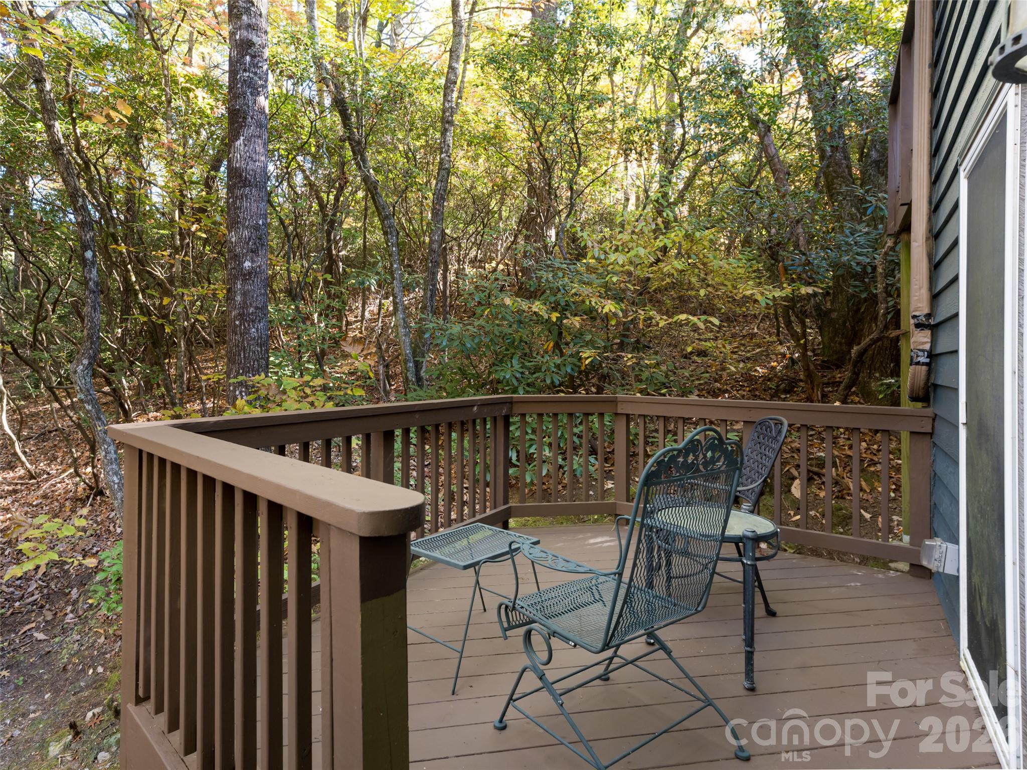 Single Family Residence at 944 Cold Mountain Road, Lake Toxaway, photo 24 of 43