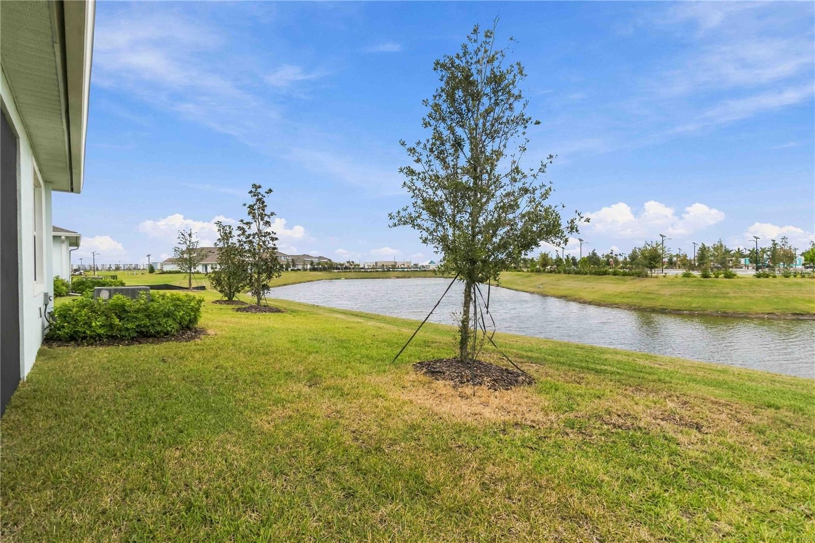 Rear View - 9136 GULF HAVEN DR, PARRISH