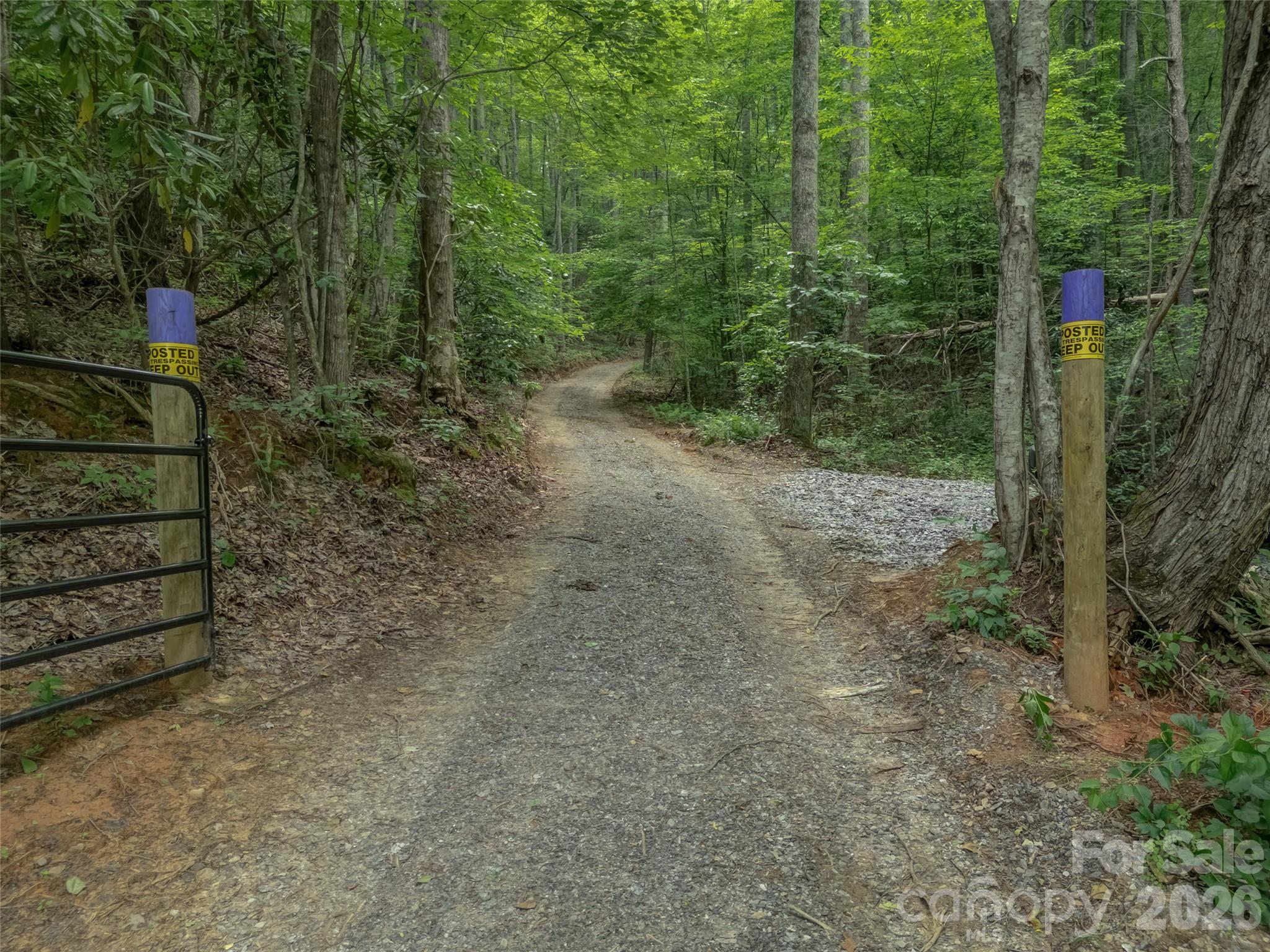Acreage at 100 White Rock Branch Road, Candler, photo 17 of 20