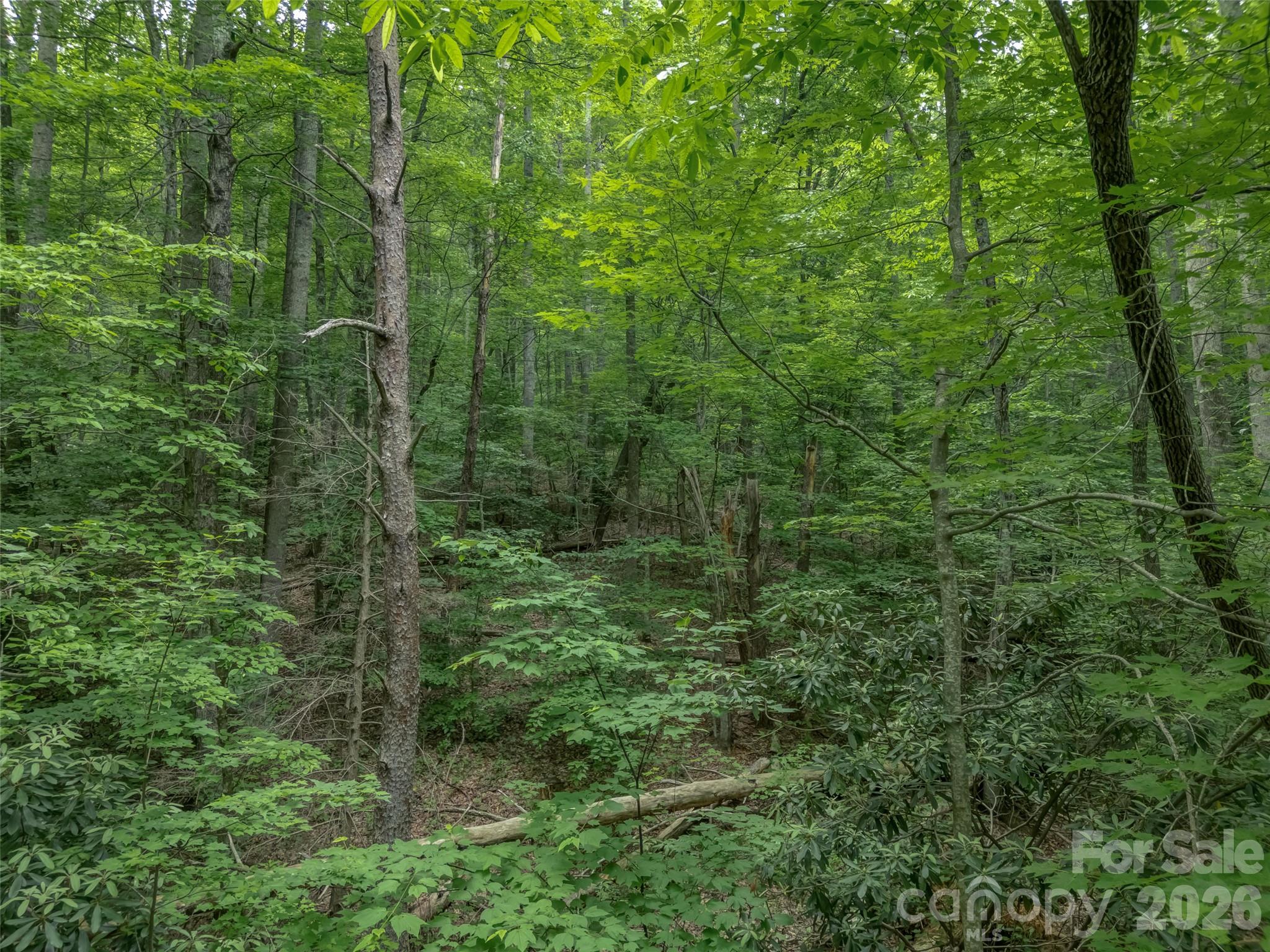 Acreage at 100 White Rock Branch Road, Candler, photo 18 of 20