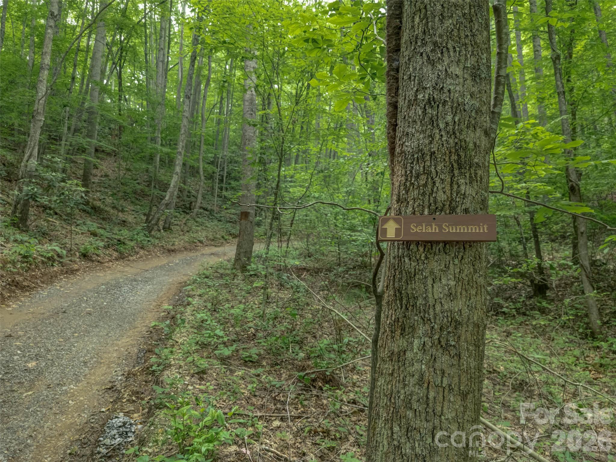 Acreage at 100 White Rock Branch Road, Candler, photo 19 of 20