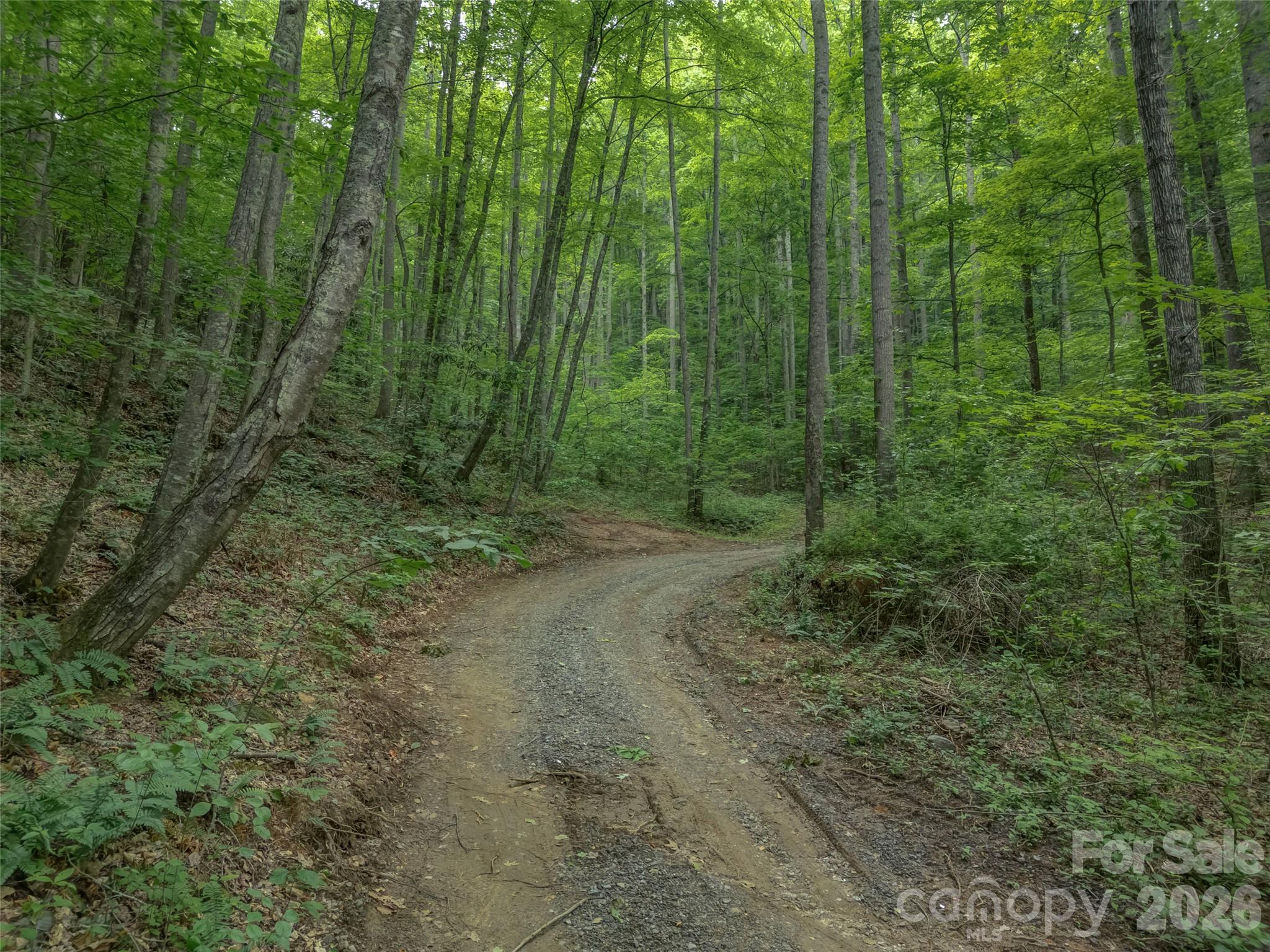 Acreage at 100 White Rock Branch Road, Candler, photo 20 of 20