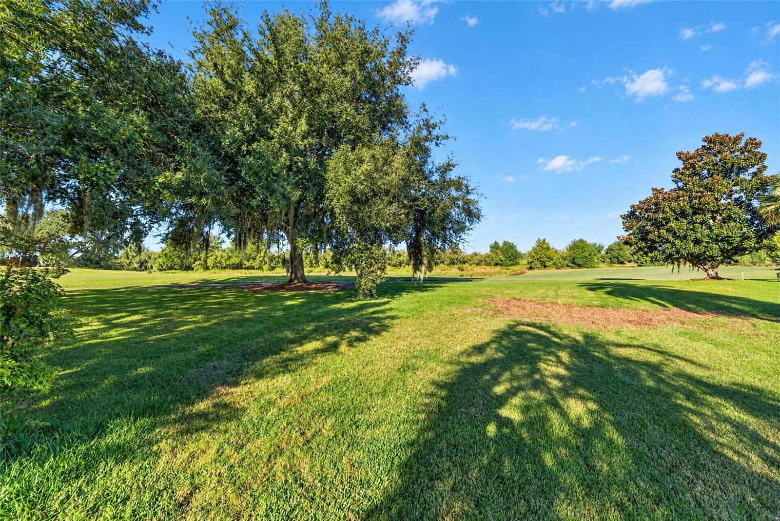 View From Back of Home - 3568 WORTH CIR, THE VILLAGES