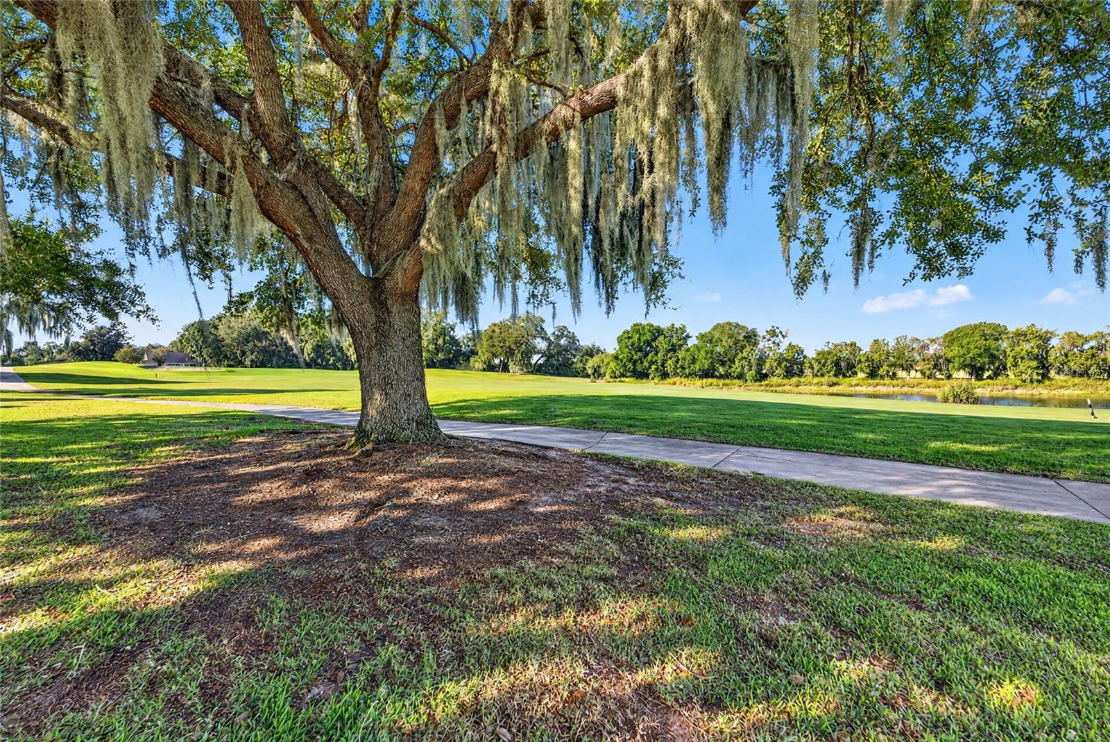 View From Back of Home - 3568 WORTH CIR, THE VILLAGES
