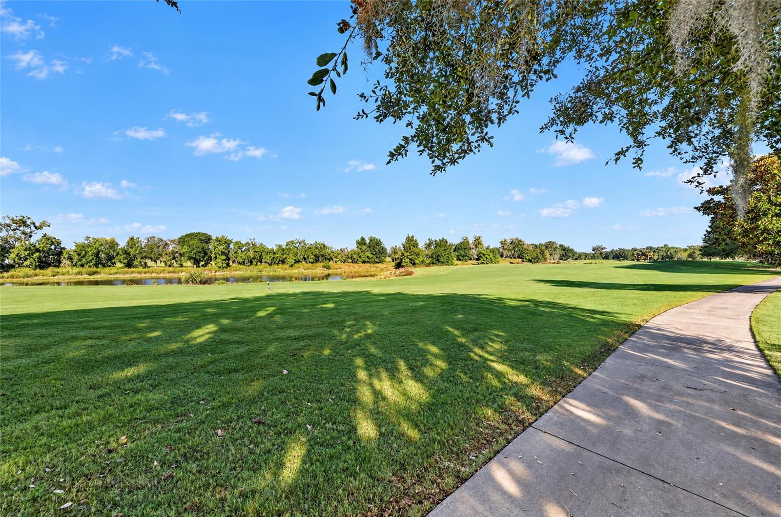 View From Back of Home - 3568 WORTH CIR, THE VILLAGES