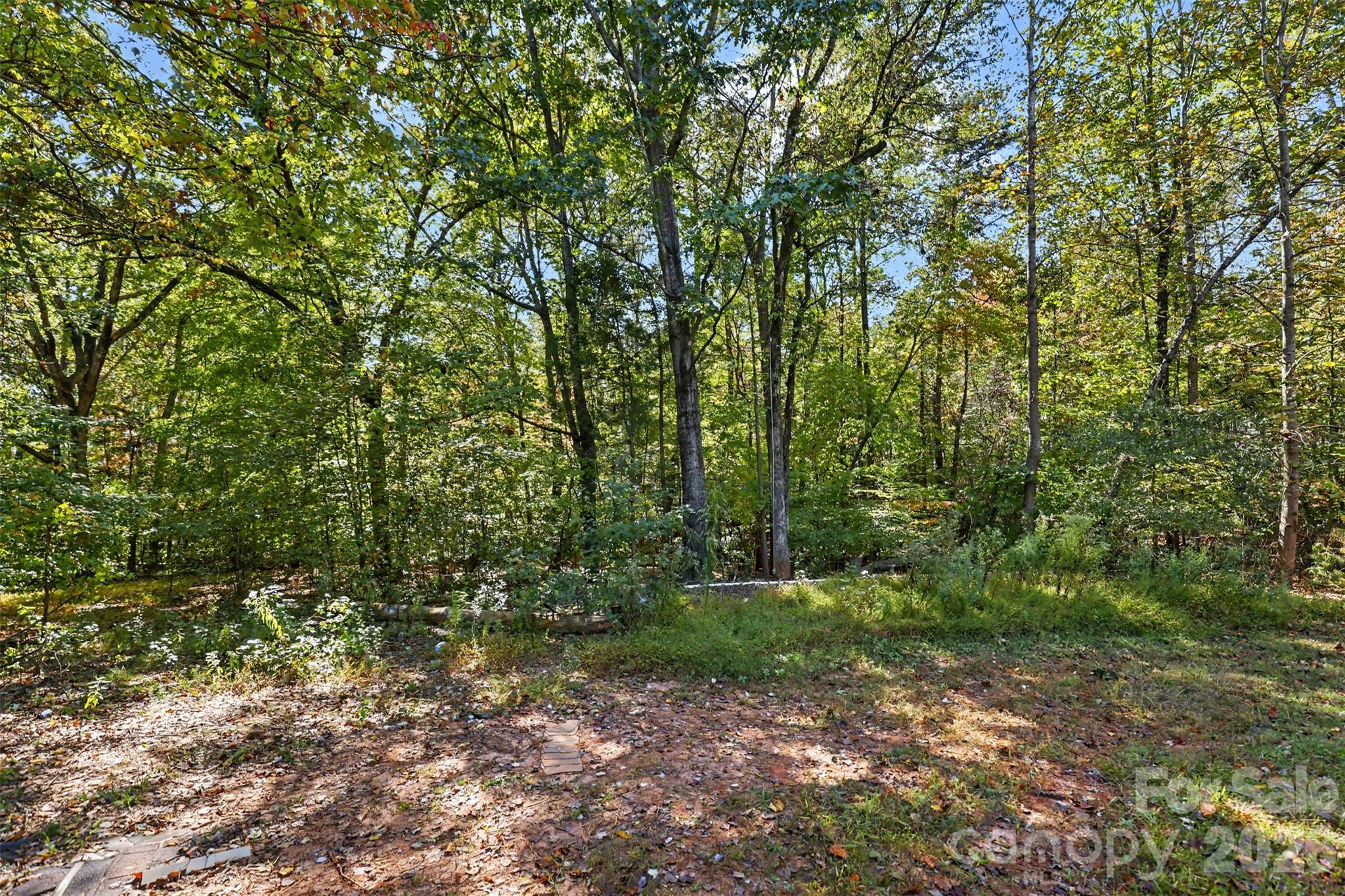 Single Family Residence at 216 Reese Wilson Road, Belmont, photo 40 of 41