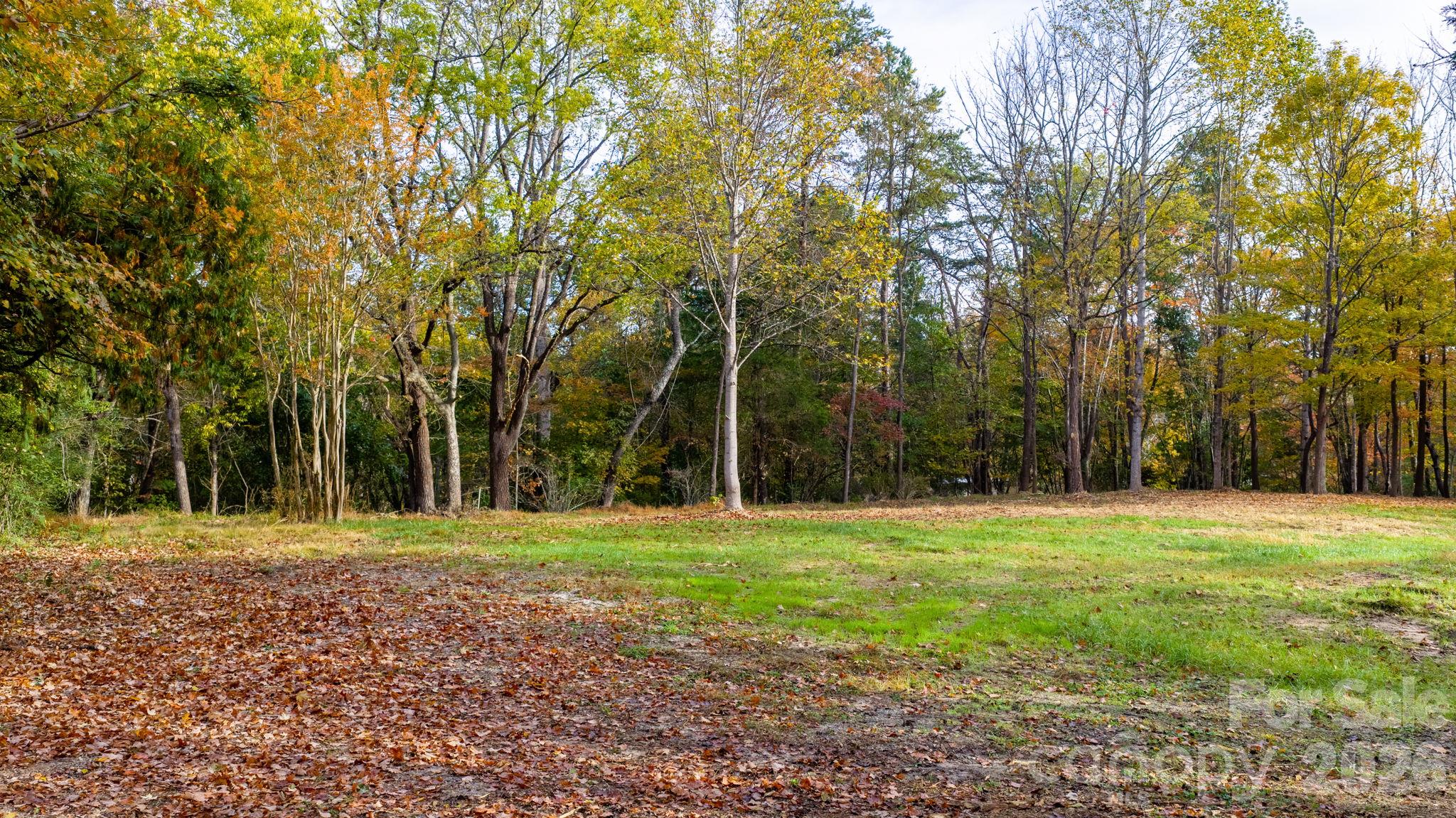 Acreage at 110 Abee Avenue SE, Valdese, photo 4 of 30
