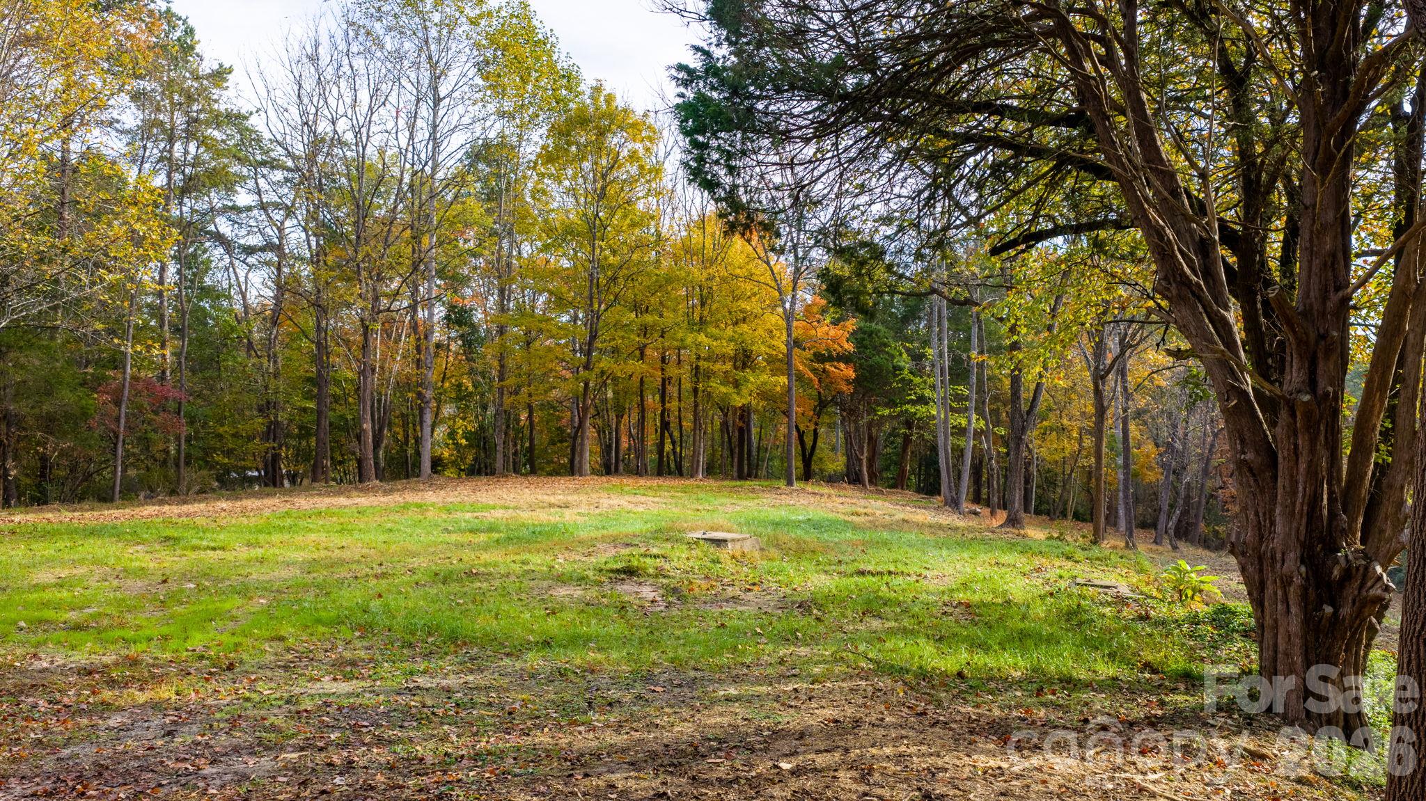 Acreage at 110 Abee Avenue SE, Valdese, photo 5 of 30