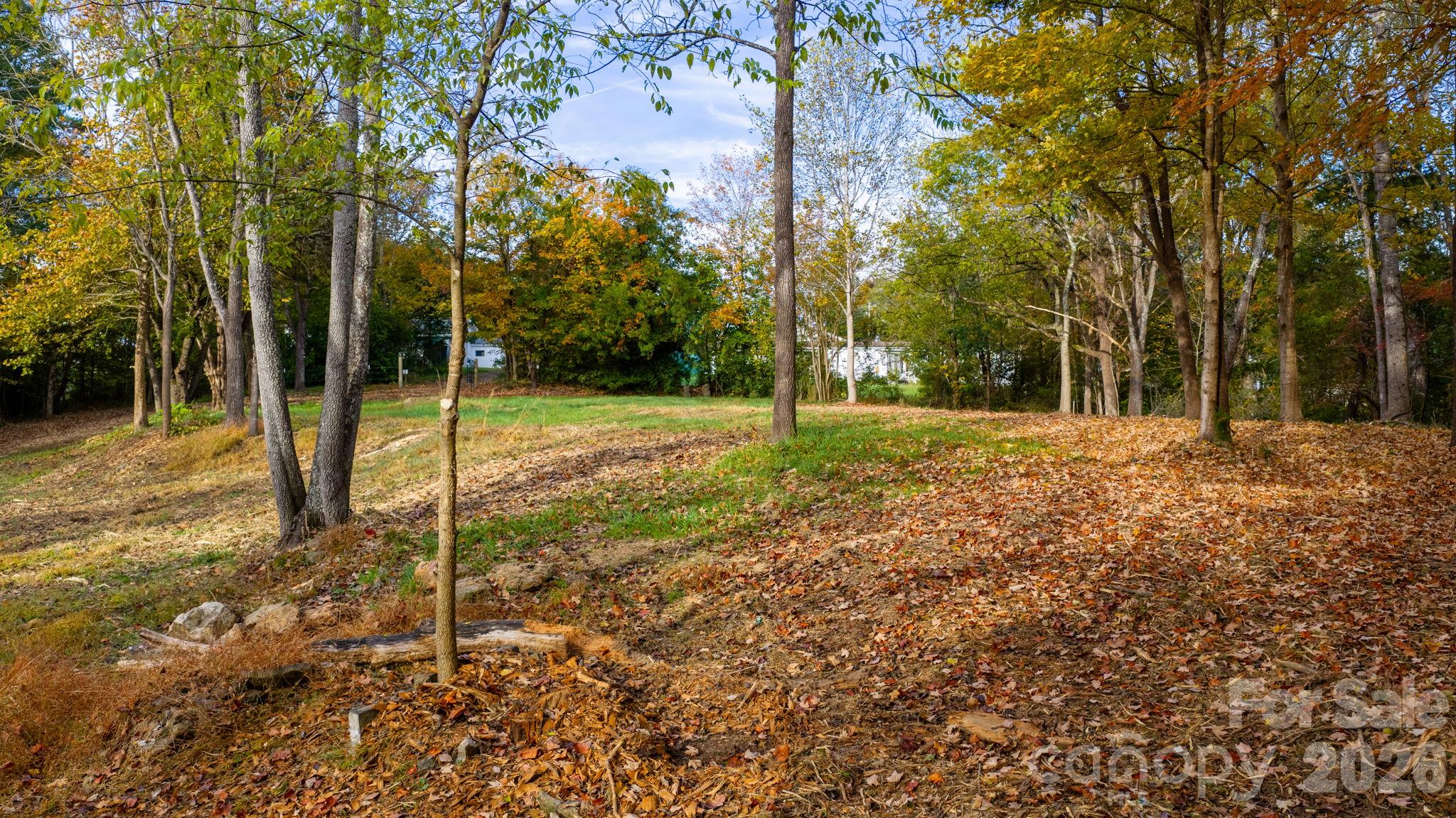 Acreage at 110 Abee Avenue SE, Valdese, photo 8 of 30