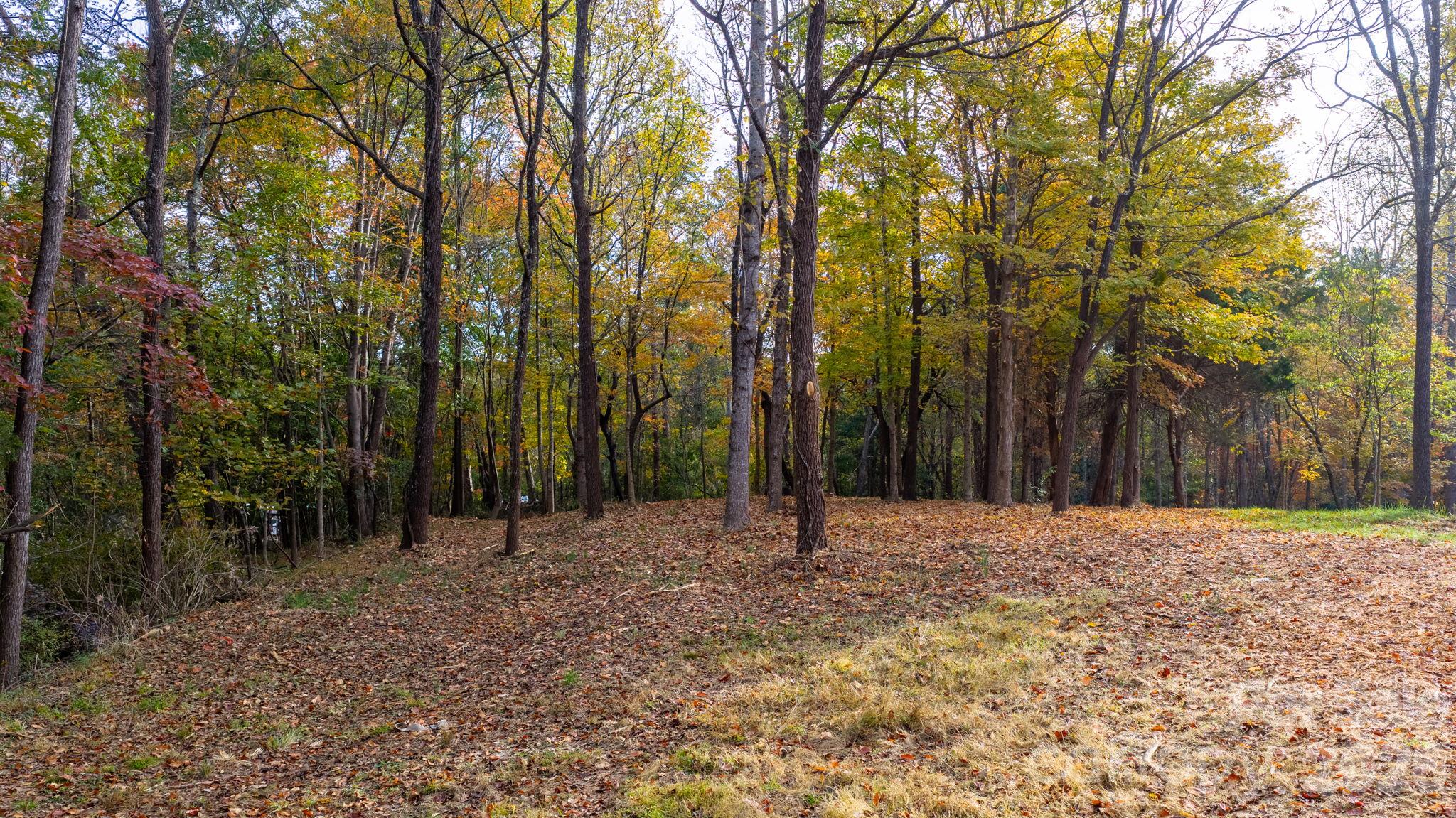 Acreage at 110 Abee Avenue SE, Valdese, photo 14 of 30