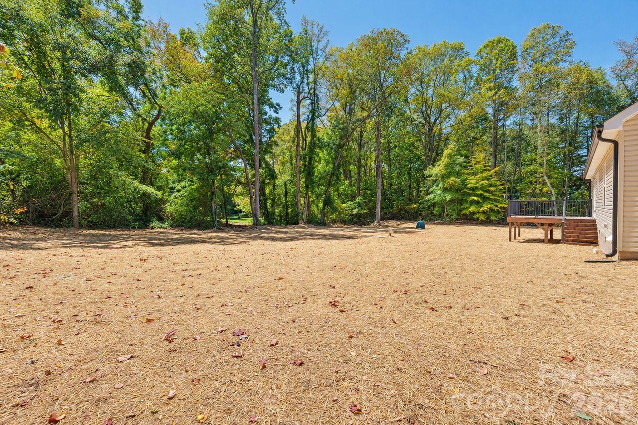 Back Yard - 1030 Joel Street, China Grove