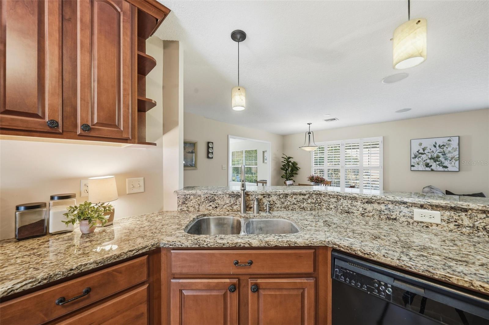 Single Family Residence at 600 HURON PL, MOUNT DORA, photo 8 of 48