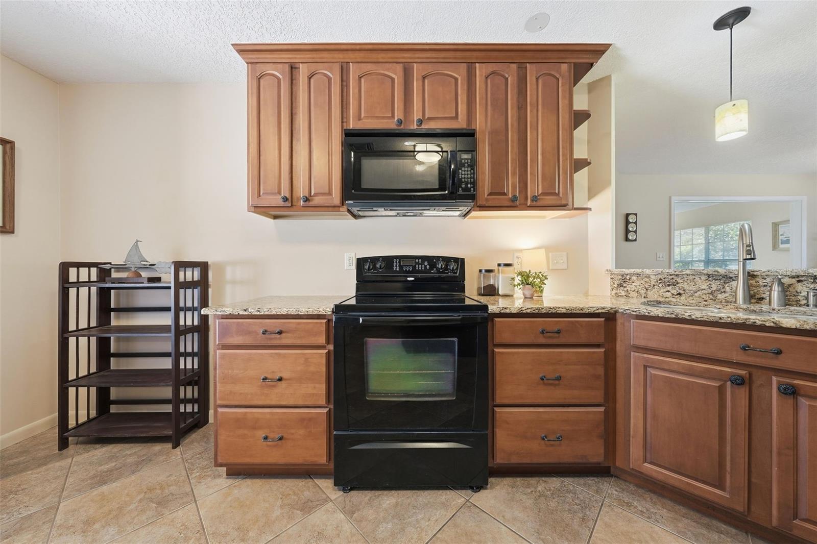 Single Family Residence at 600 HURON PL, MOUNT DORA, photo 9 of 48