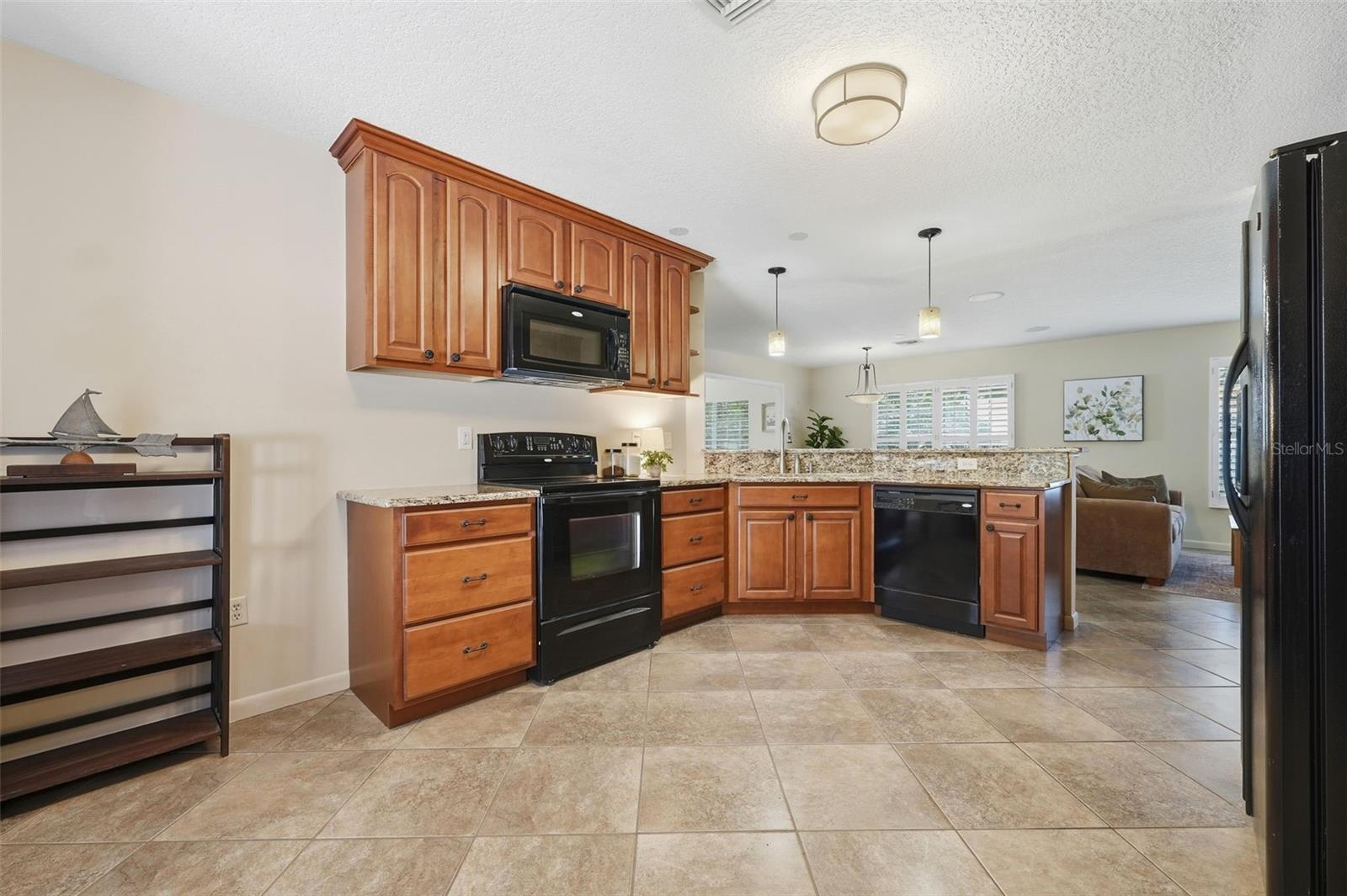 Single Family Residence at 600 HURON PL, MOUNT DORA, photo 11 of 48