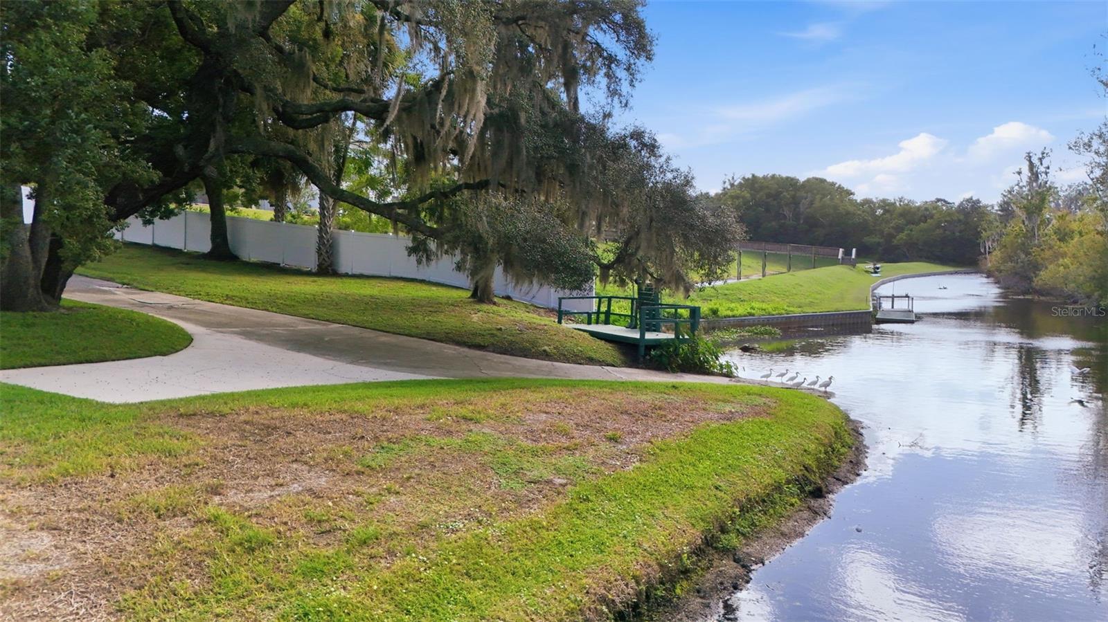 Single Family Residence at 600 HURON PL, MOUNT DORA, photo 41 of 48