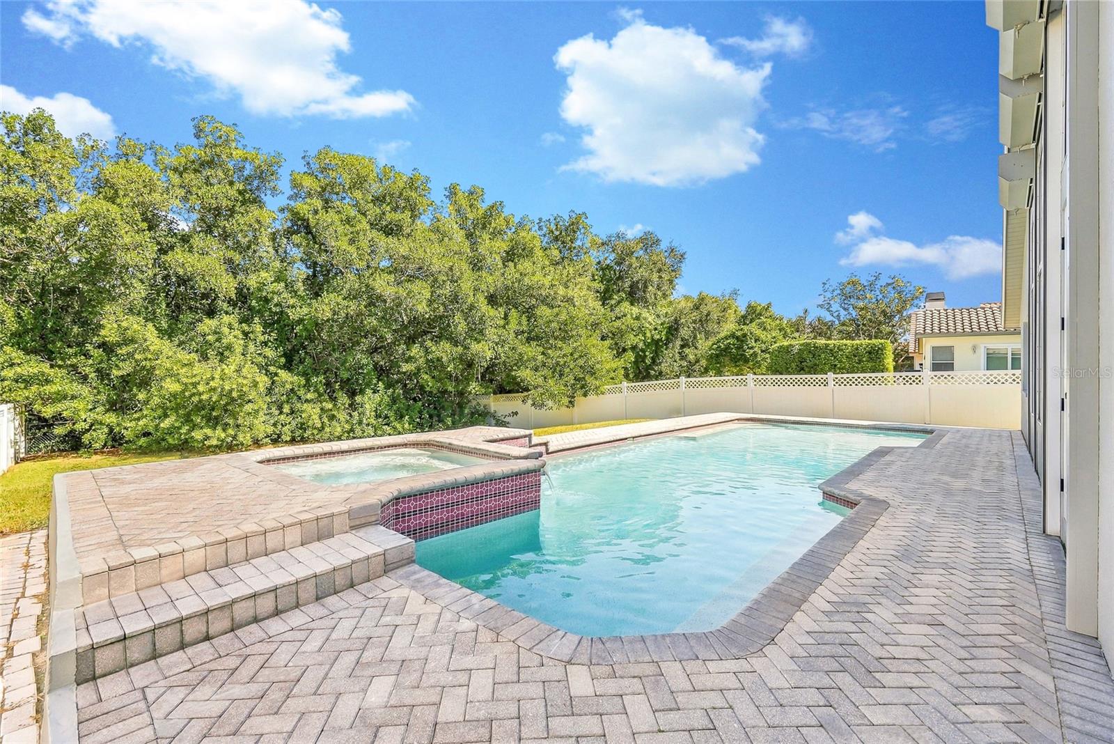 Gorgeous pool and spa, recently resurfaced and calling for fun in the sun. - 1101 DARLINGTON OAK DR NE, ST PETERSBURG