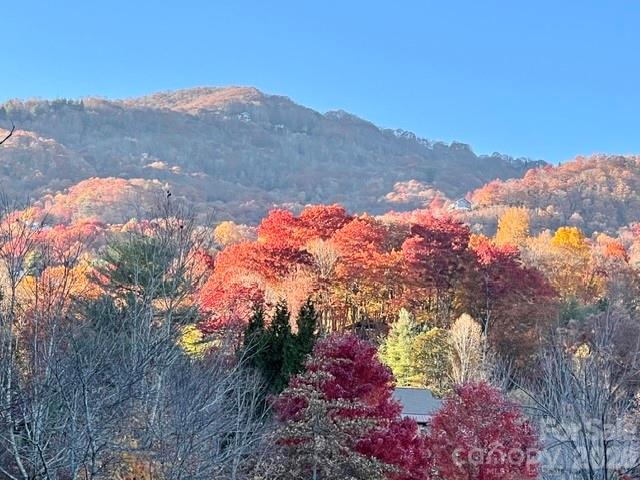 Single Family Residence at 245 Greenview Drive, Maggie Valley, photo 3 of 43