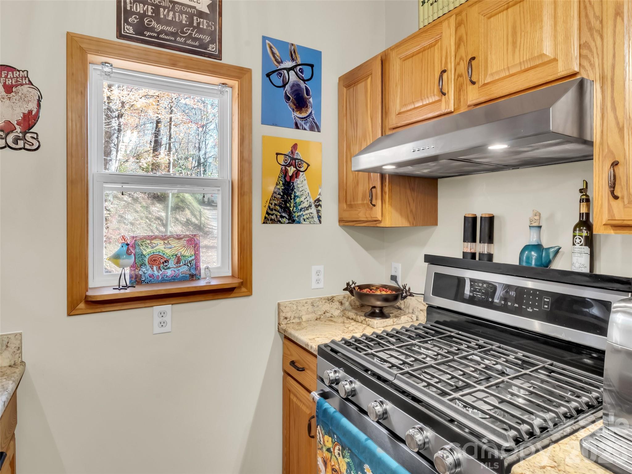 Single Family Residence at 245 Greenview Drive, Maggie Valley, photo 10 of 43