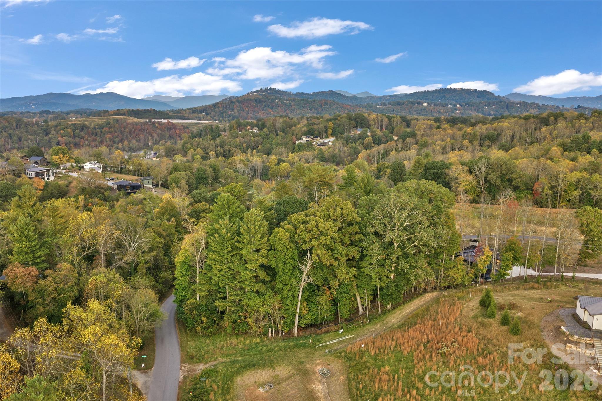Aerial of lot - 17 French Broad River Way, Asheville