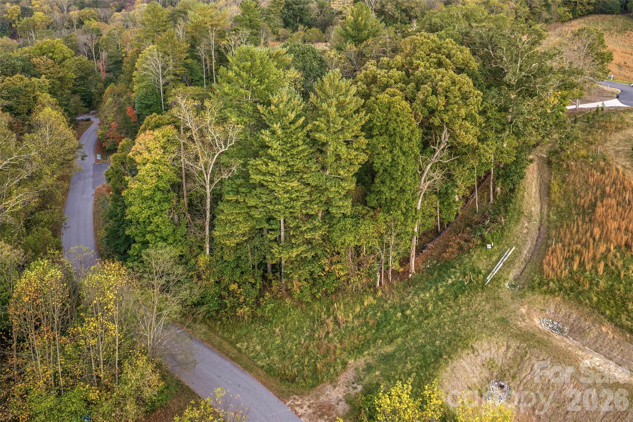 Aerial of lot - 17 French Broad River Way, Asheville