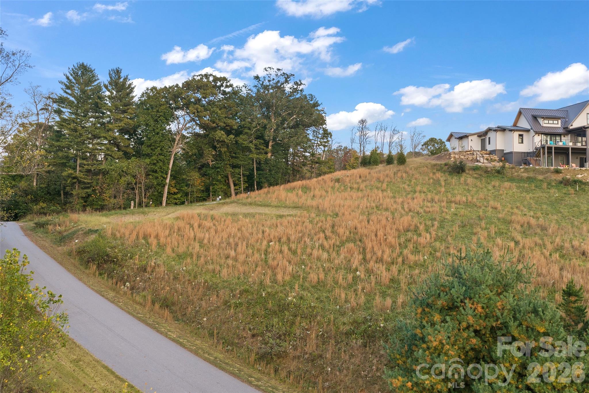 Streetview of lot - 15 French Broad River Way, Asheville