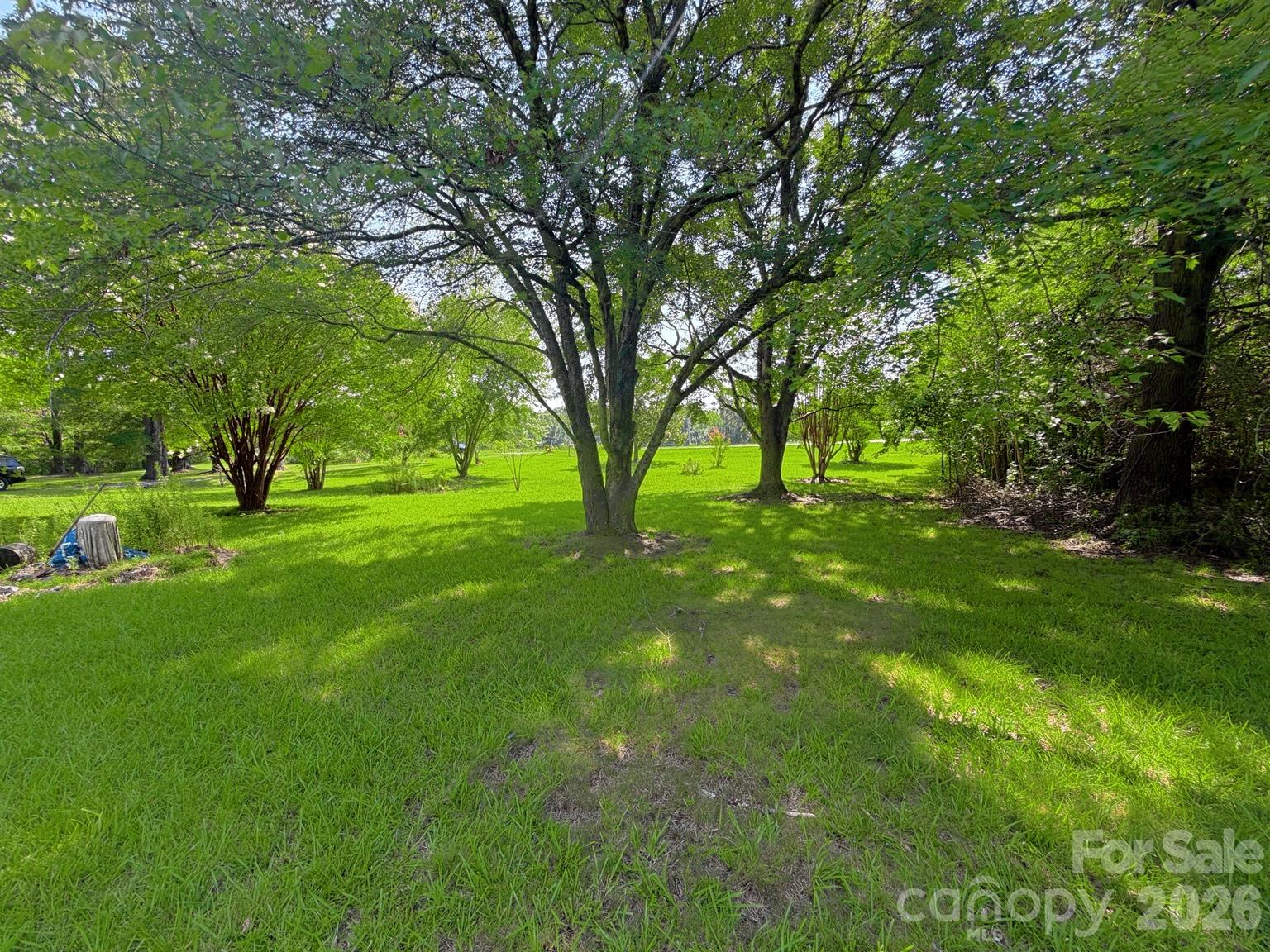 Single Family Residence at 10322 Blair Road, Mint Hill, photo 7 of 16