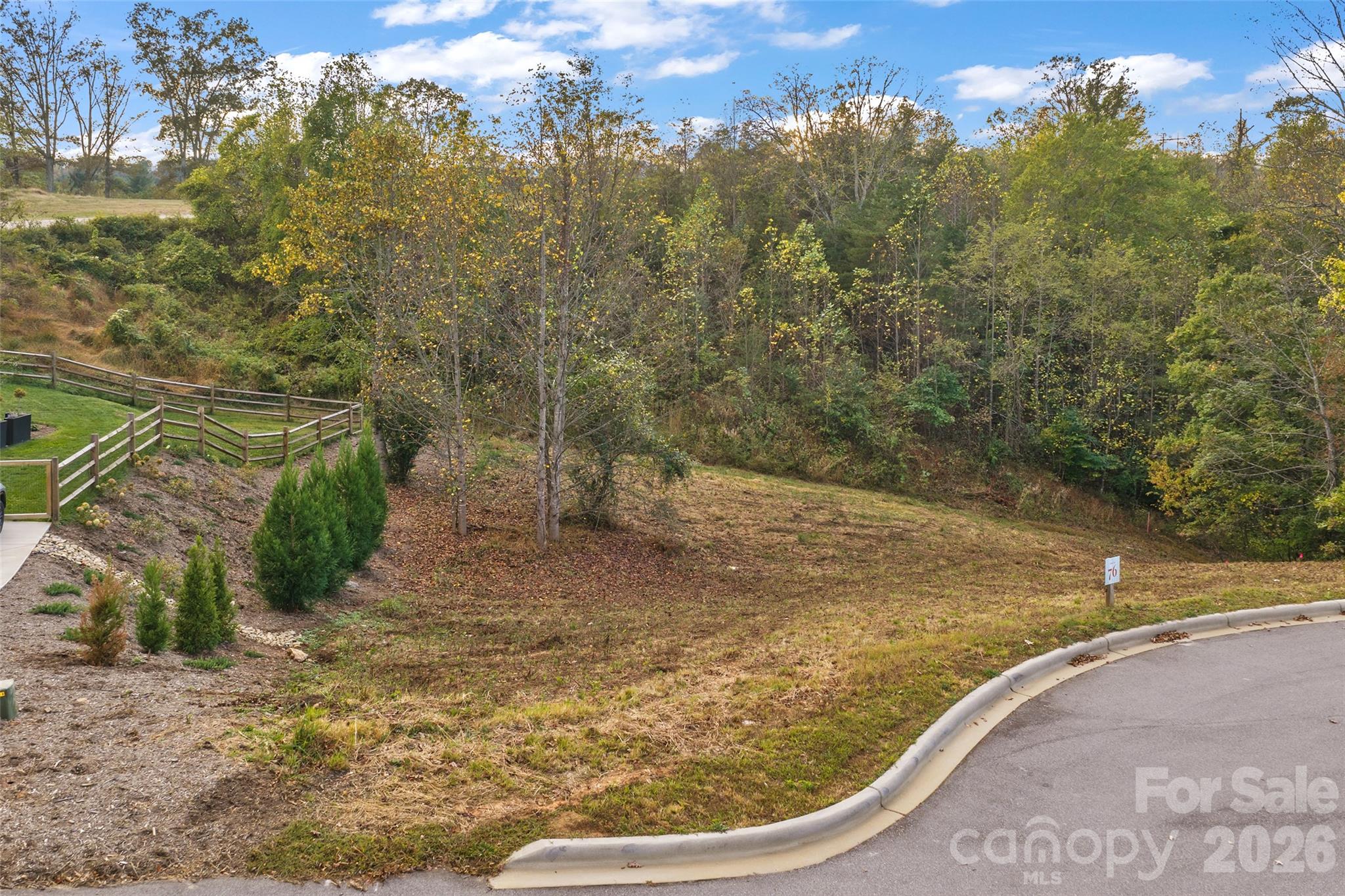 Street view of lot - 404 Blue Mind Way, Asheville