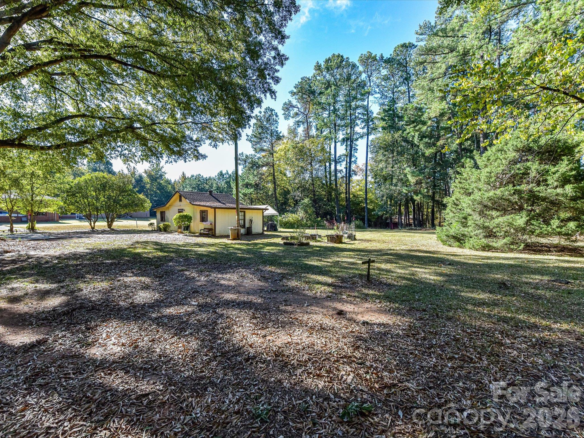 Back Yard - 1806 Lakeview Drive, Pineville