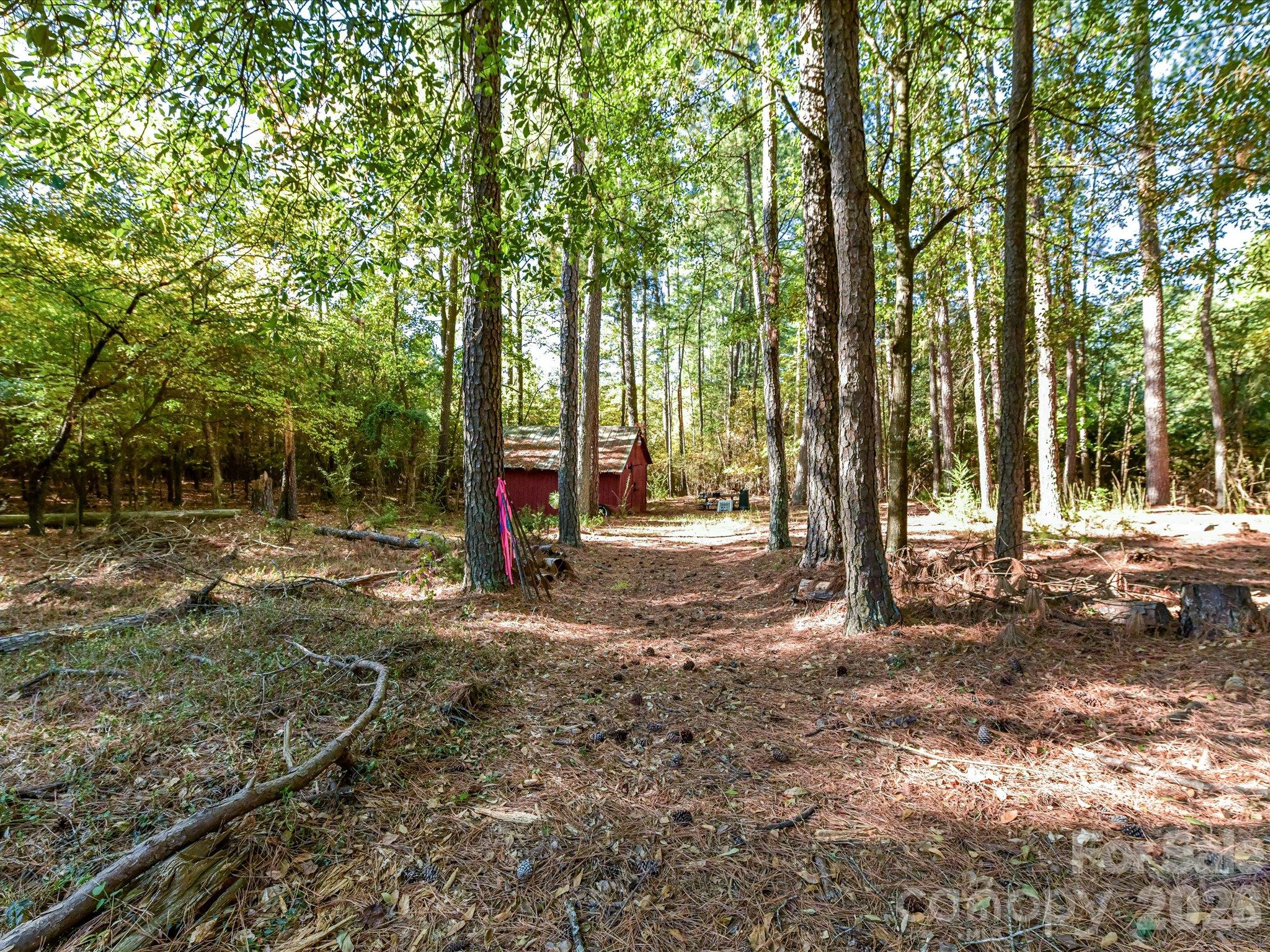 Back Yard - 1806 Lakeview Drive, Pineville