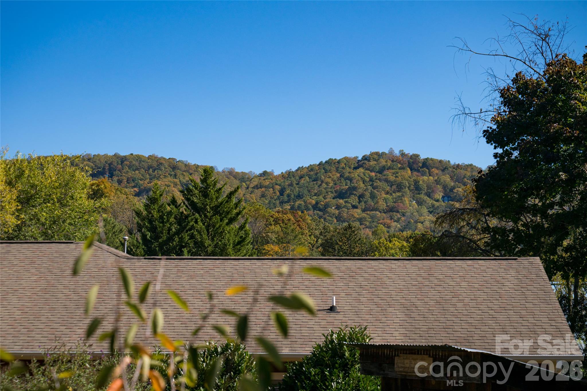 Look at the view and imagine those sunsets - 30 Maney Avenue, Asheville