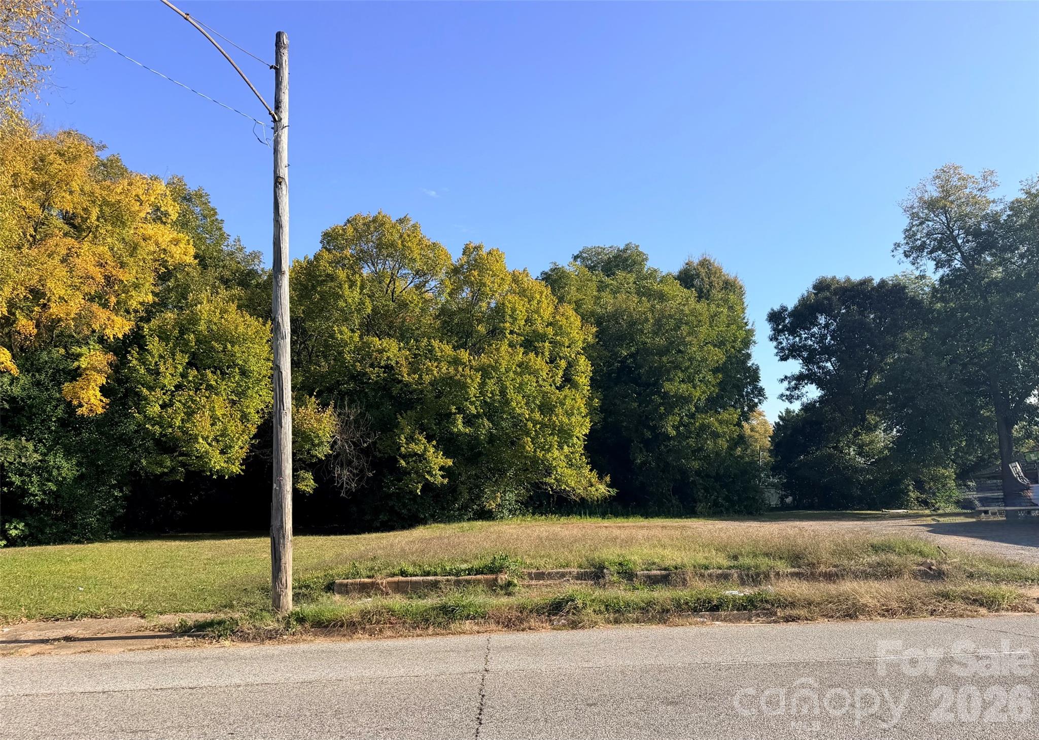Lot at 232 Black Street, Rock Hill, photo 2 of 4