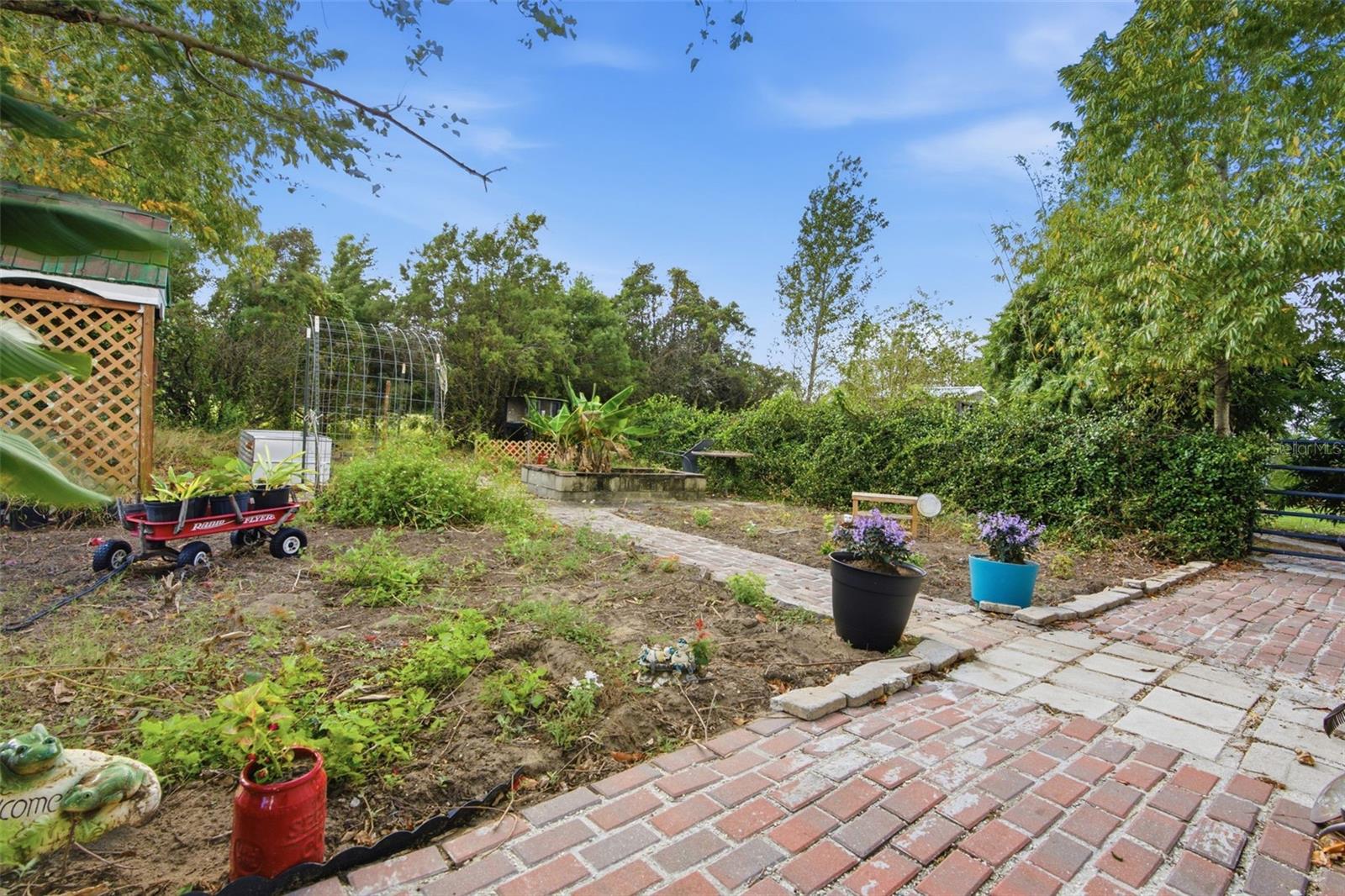Farm at 26298 ATLANTIS LN, BROOKSVILLE, photo 12 of 54