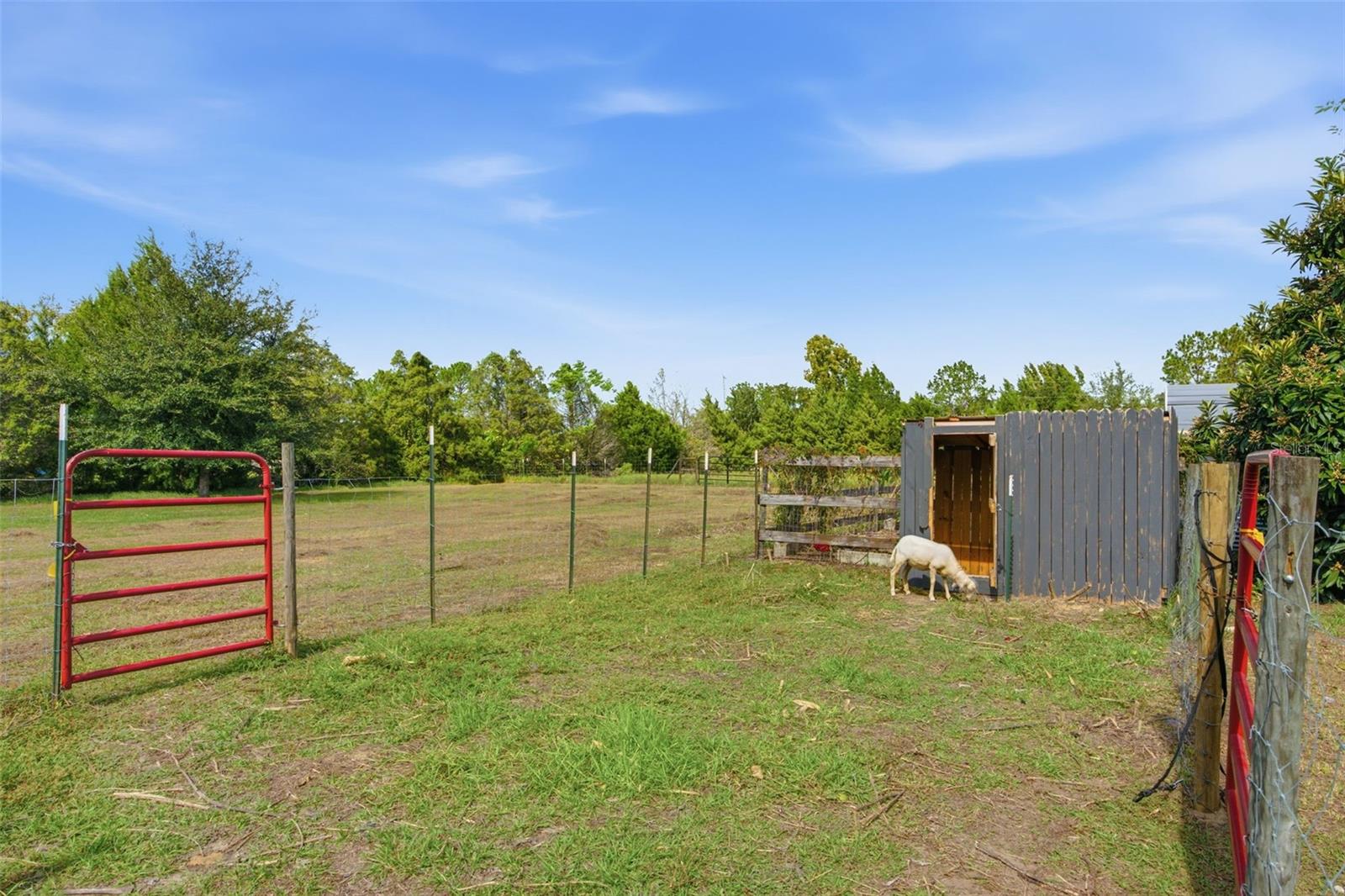 Farm at 26298 ATLANTIS LN, BROOKSVILLE, photo 51 of 54