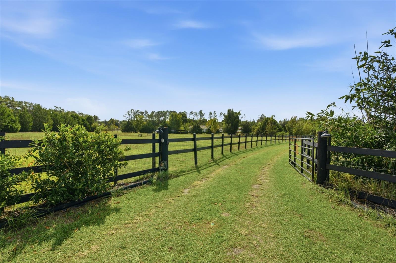 Farm at 26298 ATLANTIS LN, BROOKSVILLE, photo 52 of 54