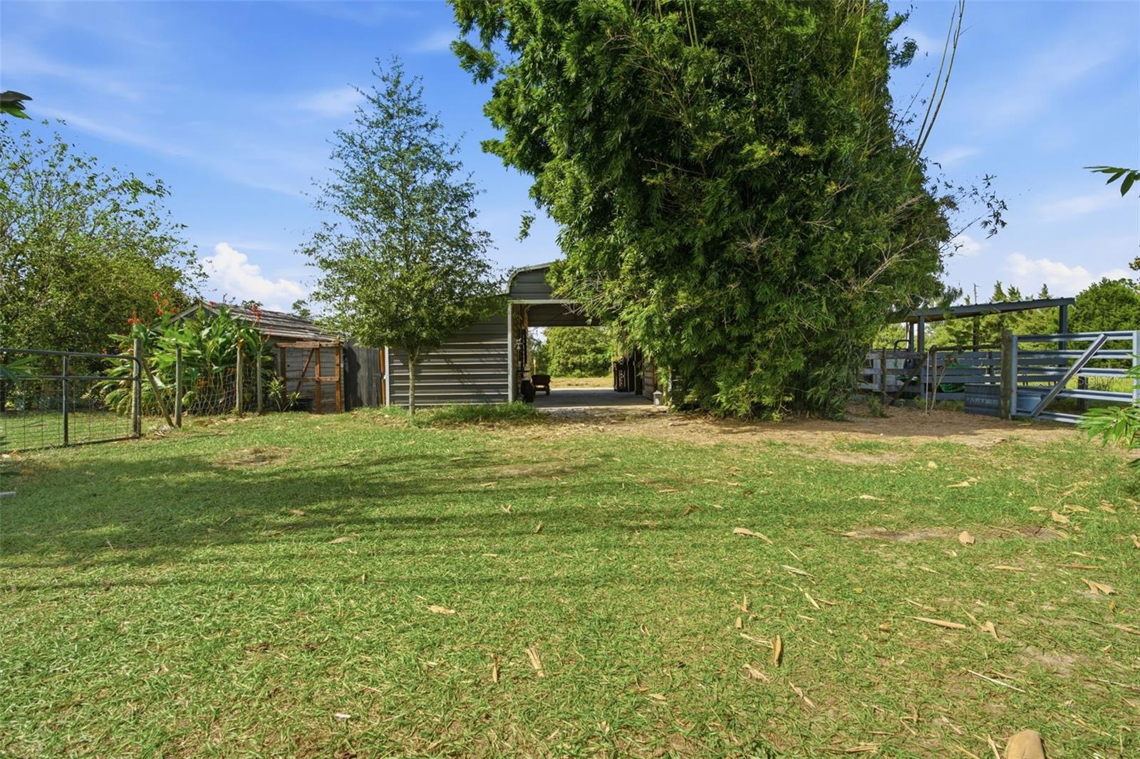 Farm at 26298 ATLANTIS LN, BROOKSVILLE, photo 54 of 54
