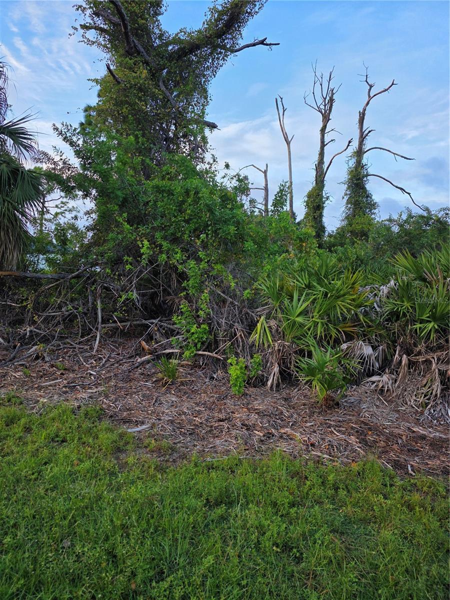 Land at 13488 DRYSDALE AVE, PORT CHARLOTTE, photo 2 of 4