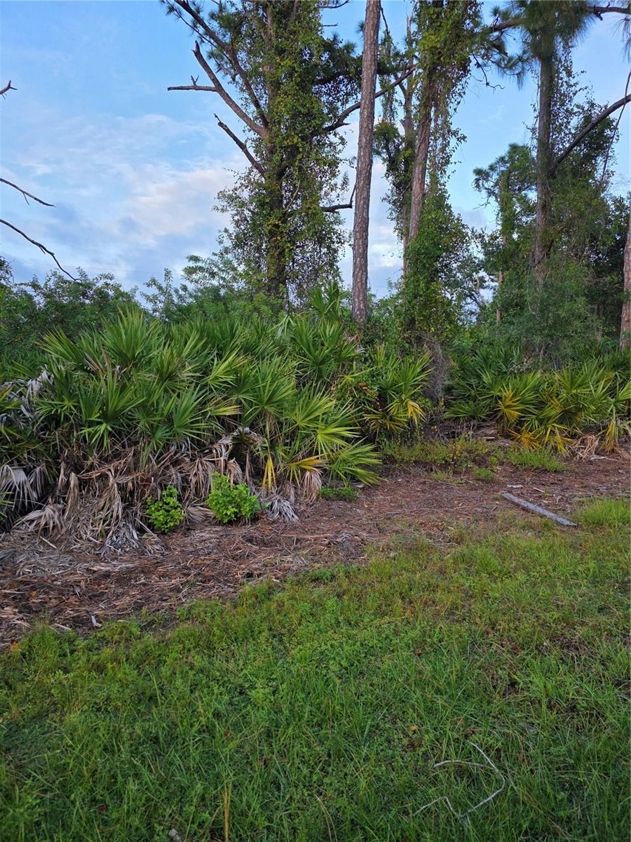 Land at 13488 DRYSDALE AVE, PORT CHARLOTTE, photo 3 of 4