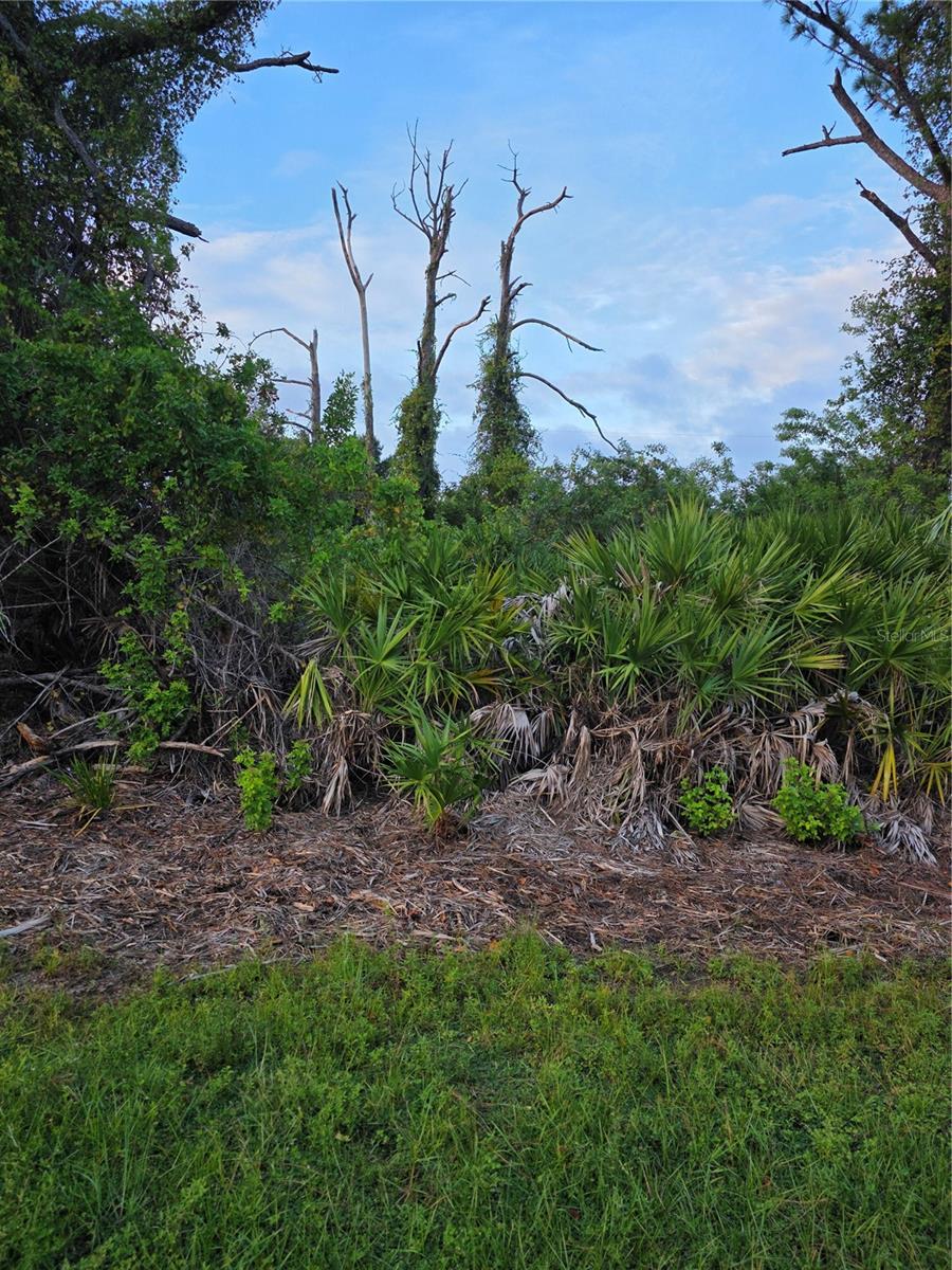 Land at 13488 DRYSDALE AVE, PORT CHARLOTTE, photo 4 of 4