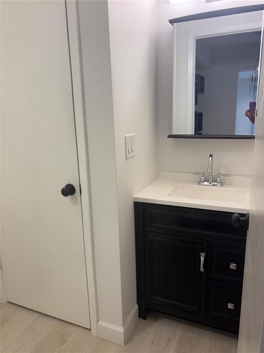 Guest bathroom - 14116 VILLAGE TERRACE DR, TAMPA