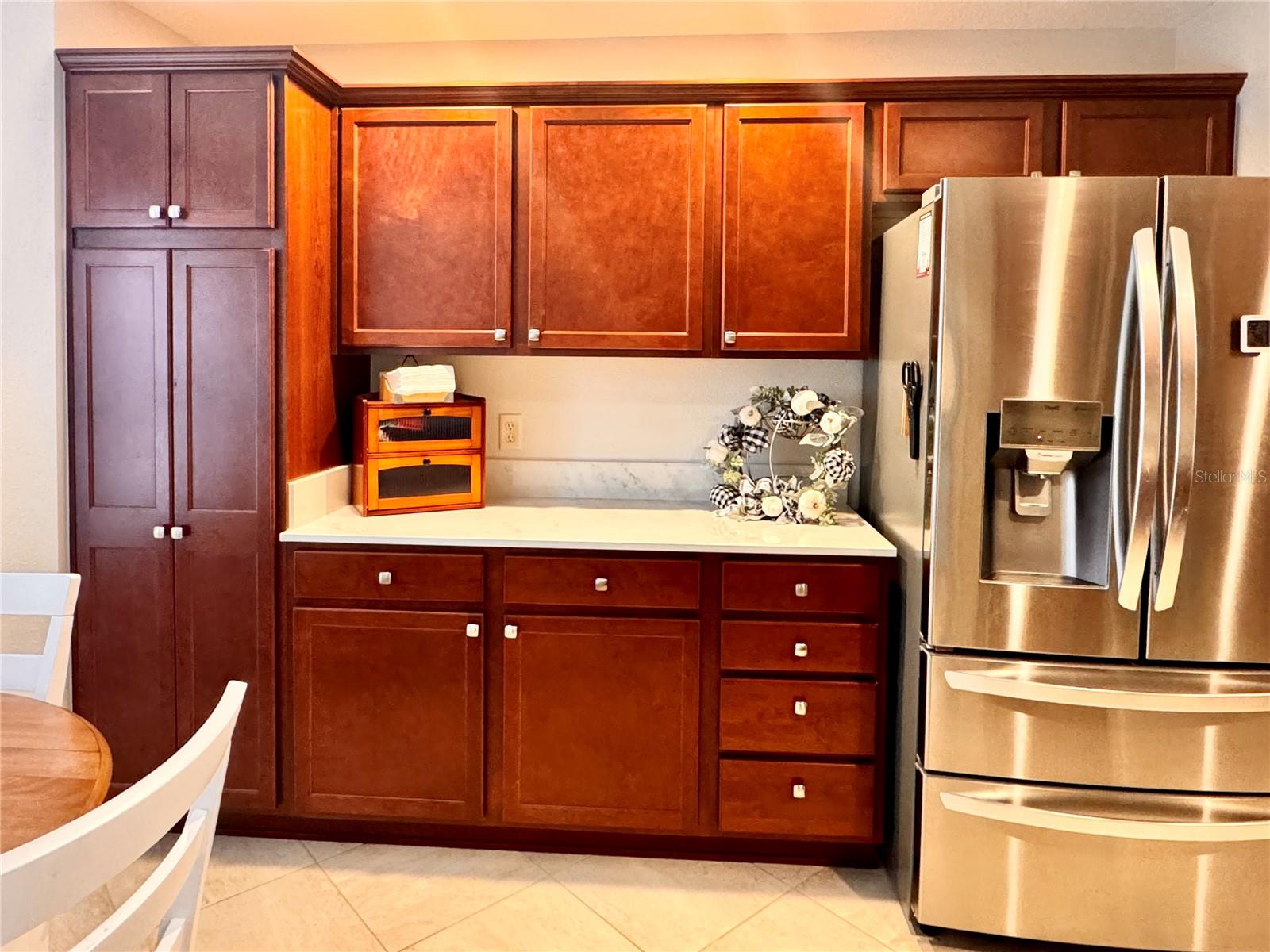 Pantry, pull outs at the bottom of the cabinets - 2268 SUTTON TER, THE VILLAGES