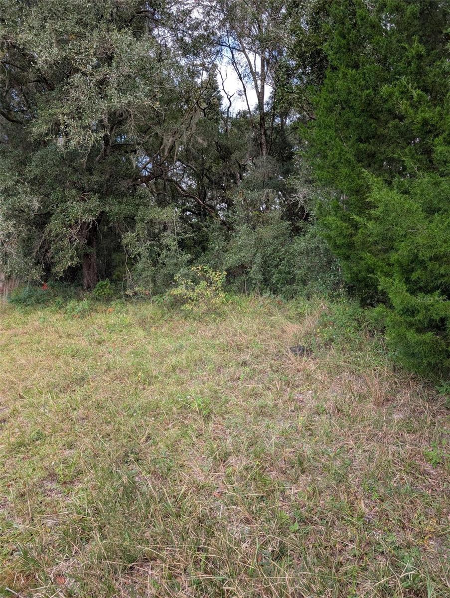 Land at 0 NW HWY 464B, MORRISTON, photo 4 of 10