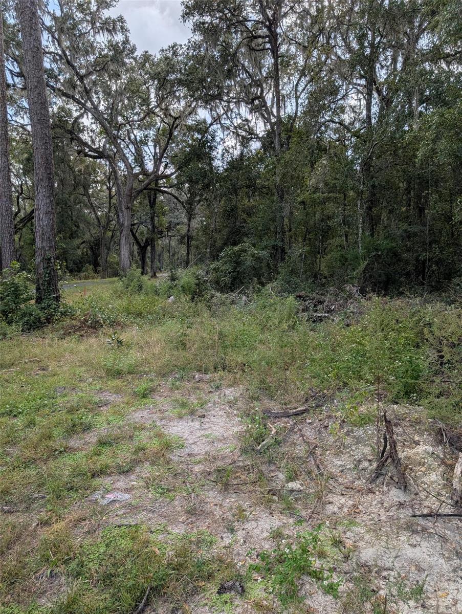 Land at 0 NW HWY 464B, MORRISTON, photo 5 of 10