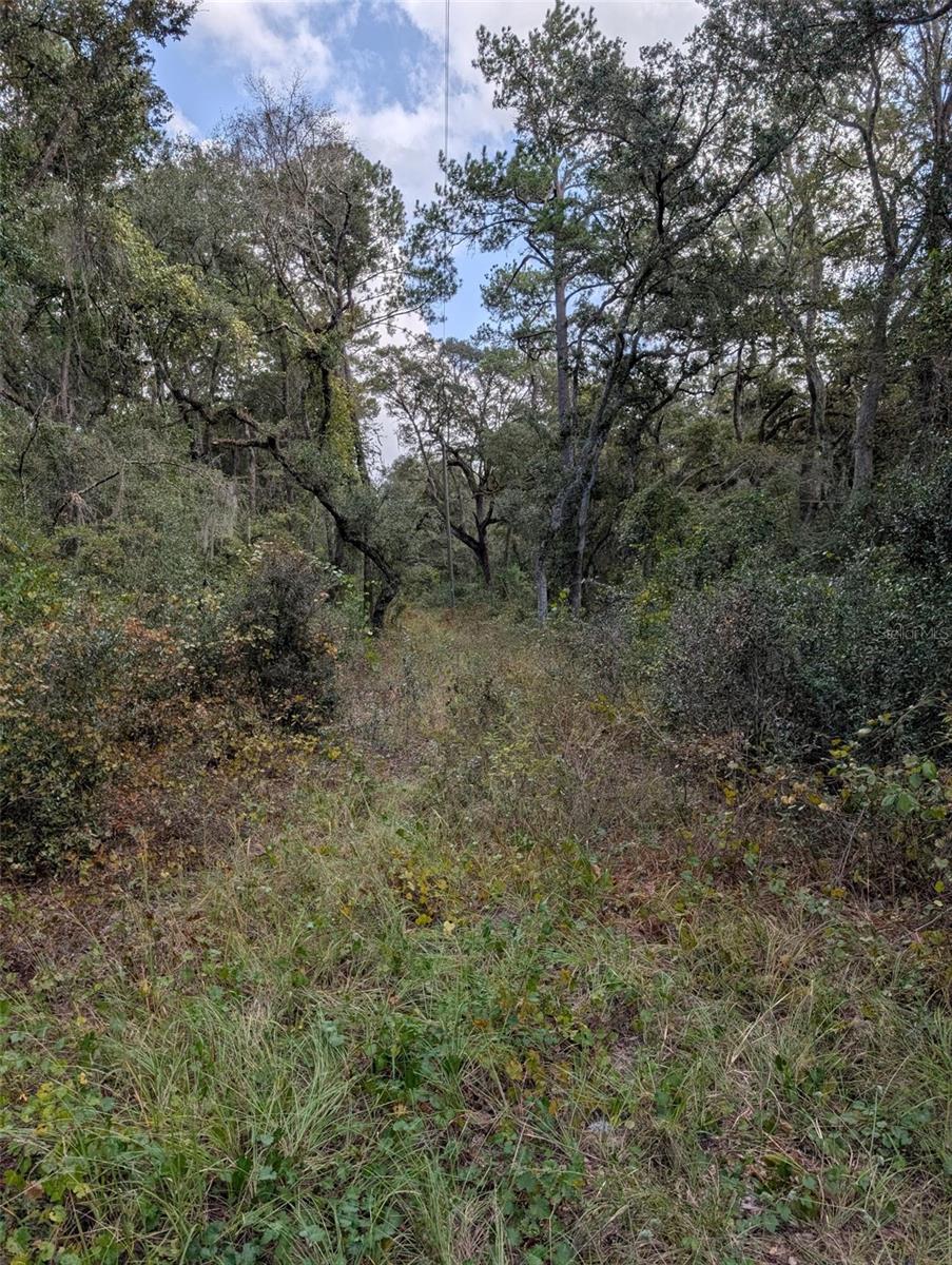 Land at 0 NW HWY 464B, MORRISTON, photo 7 of 10