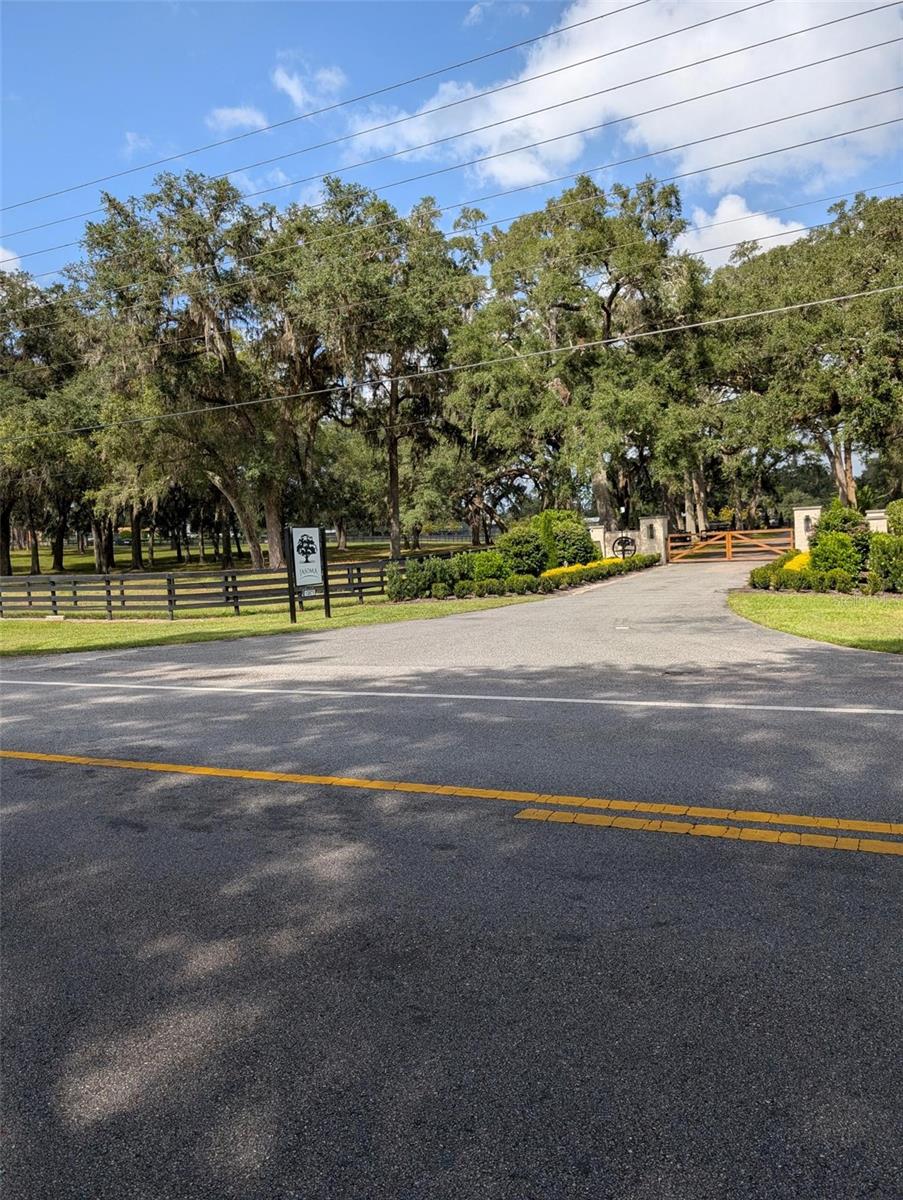 Beautiful Horse Farm right next door to this property! - 0 NW HWY 464B, MORRISTON