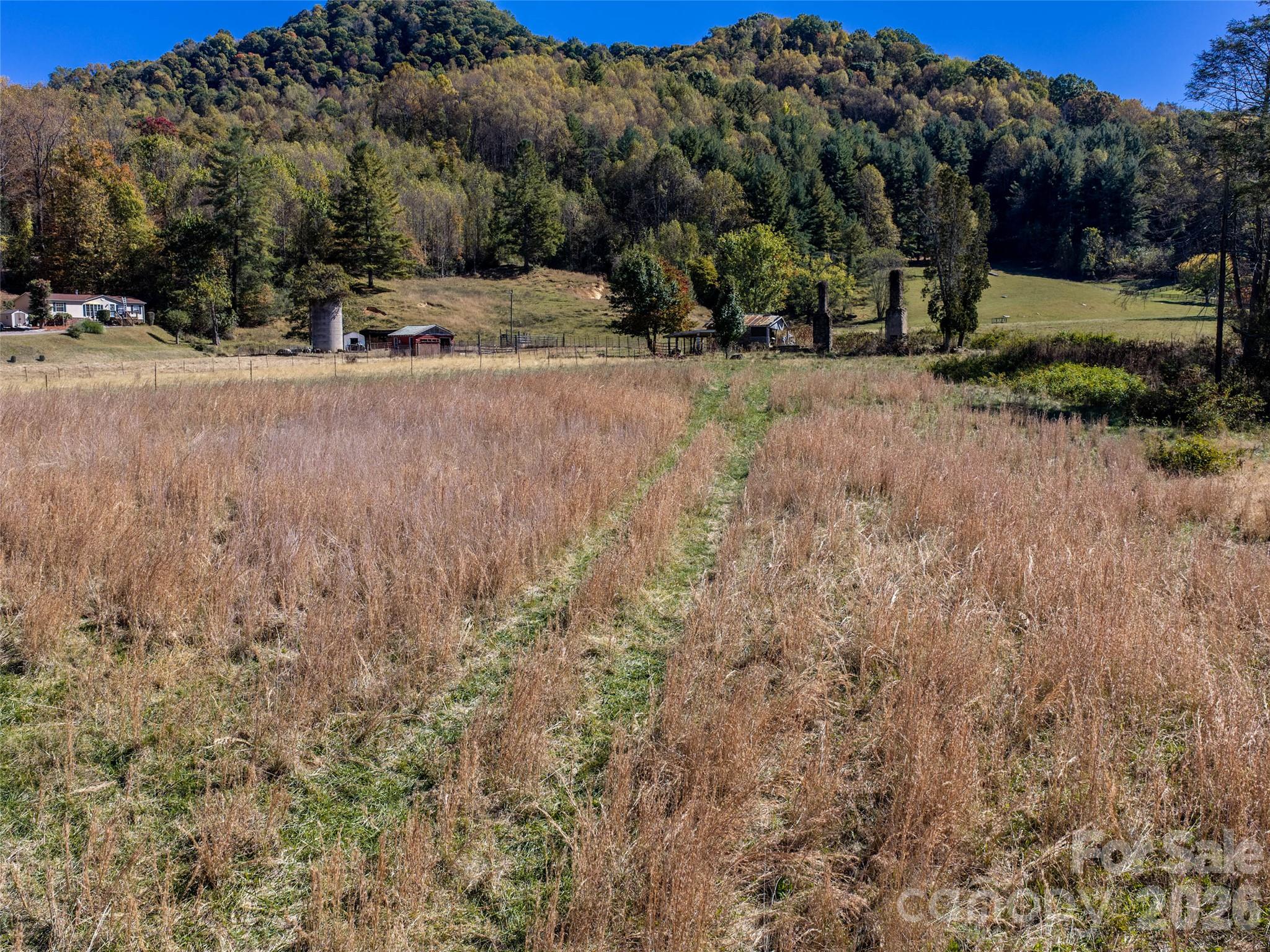 Acreage at 00 Lickstone Road, Waynesville, photo 12 of 17