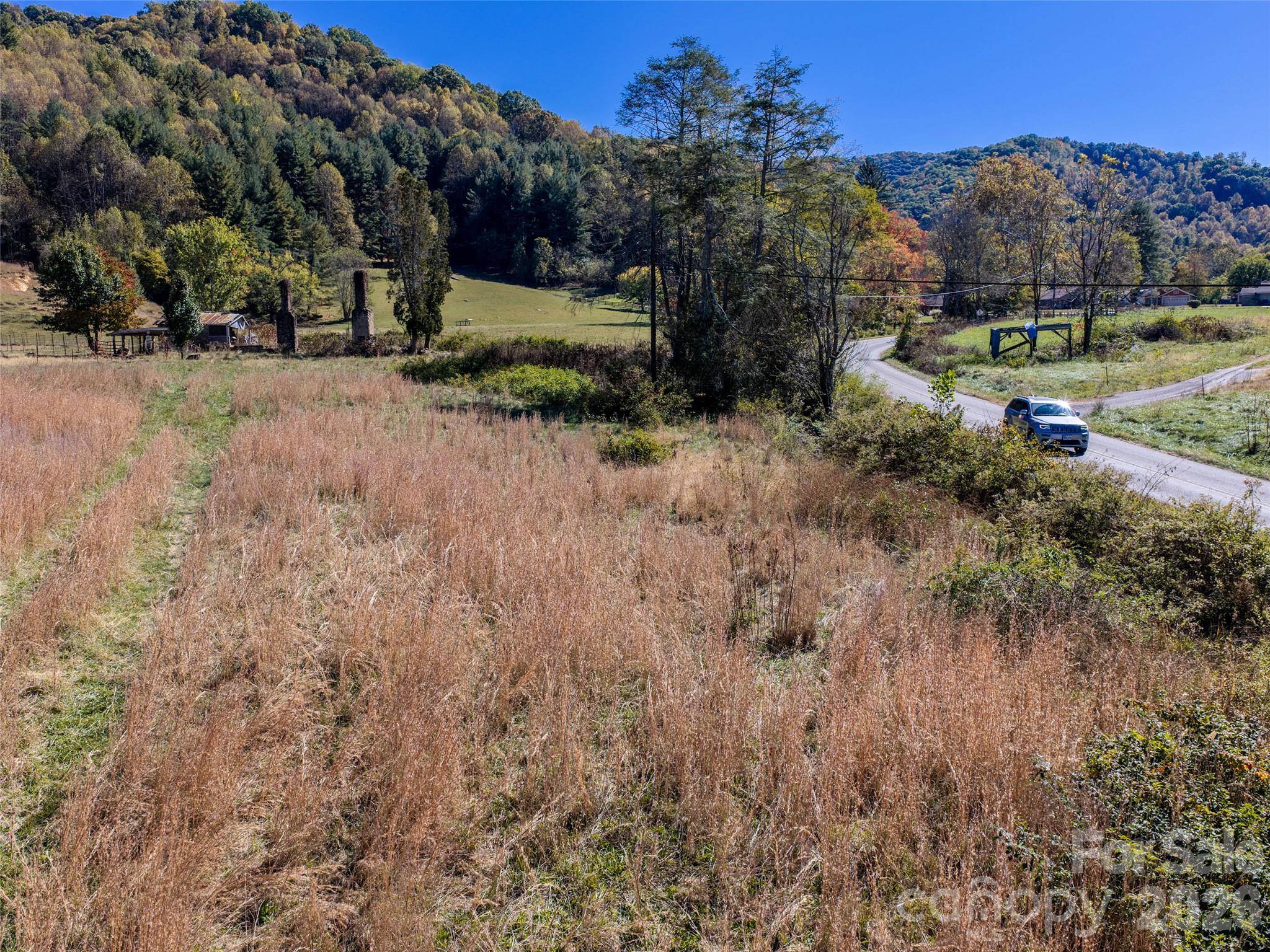Acreage at 00 Lickstone Road, Waynesville, photo 13 of 17